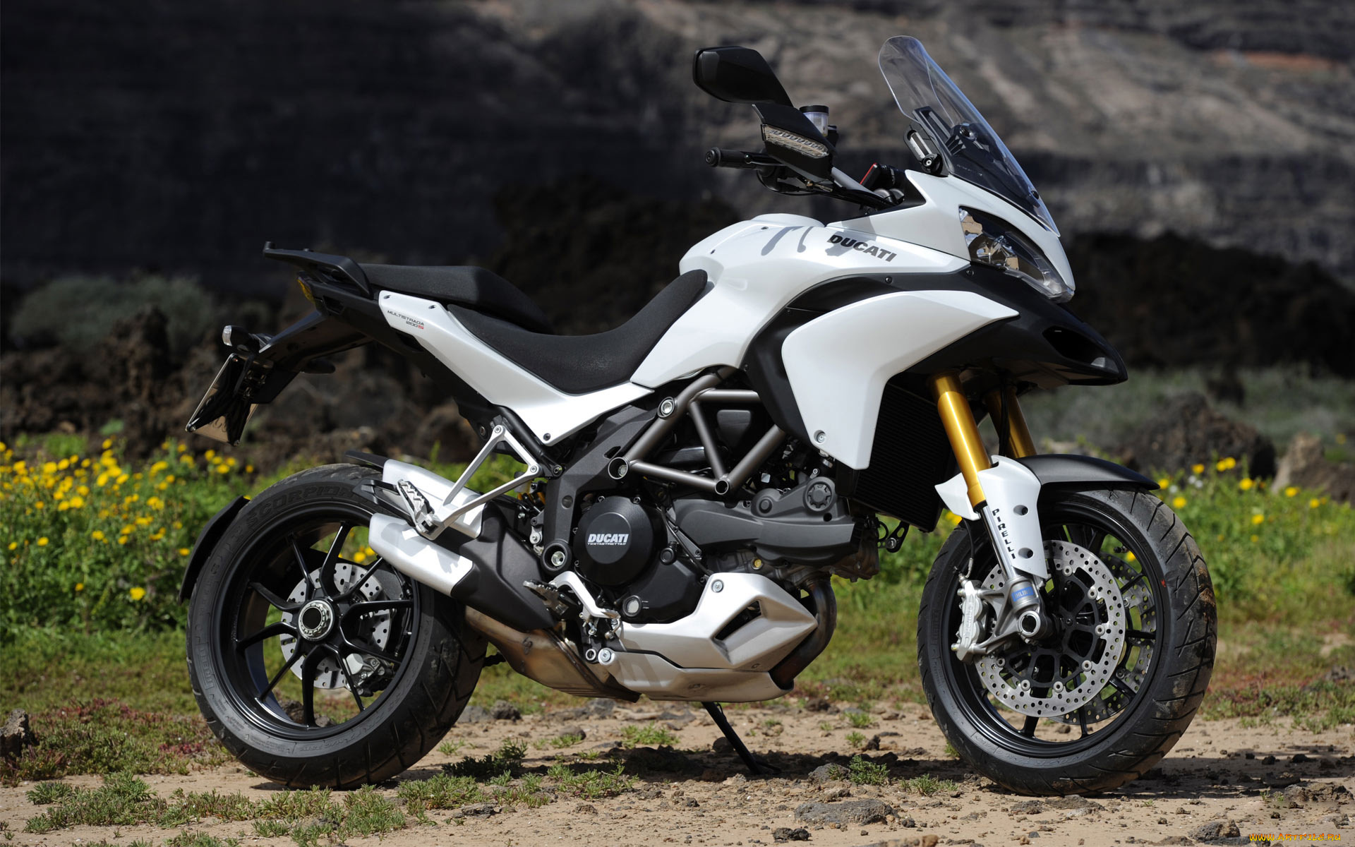 мотоциклы, ducati