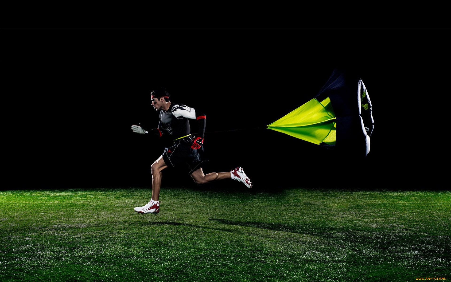 юмор, приколы