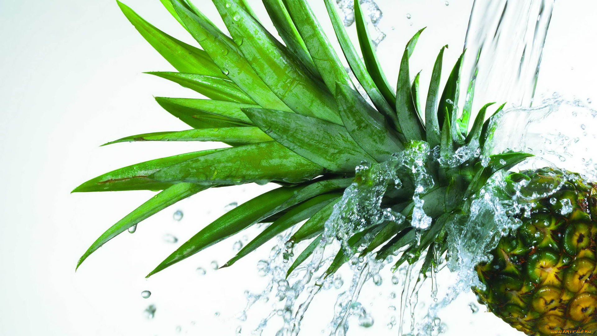 еда, ананас, брызги, белый, фон, вода, фрукт