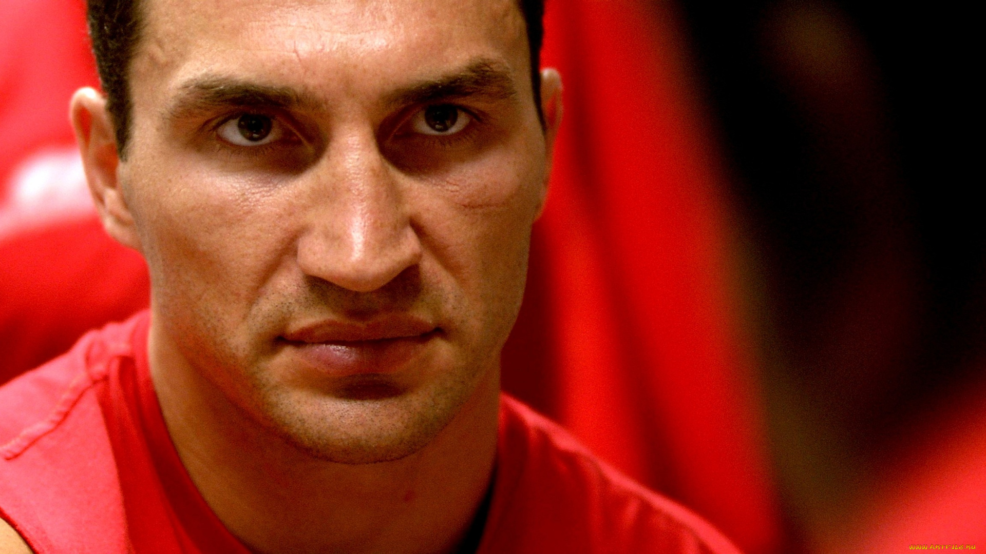 владимир, кличко, мужчины, виталий, взгляд, боксер