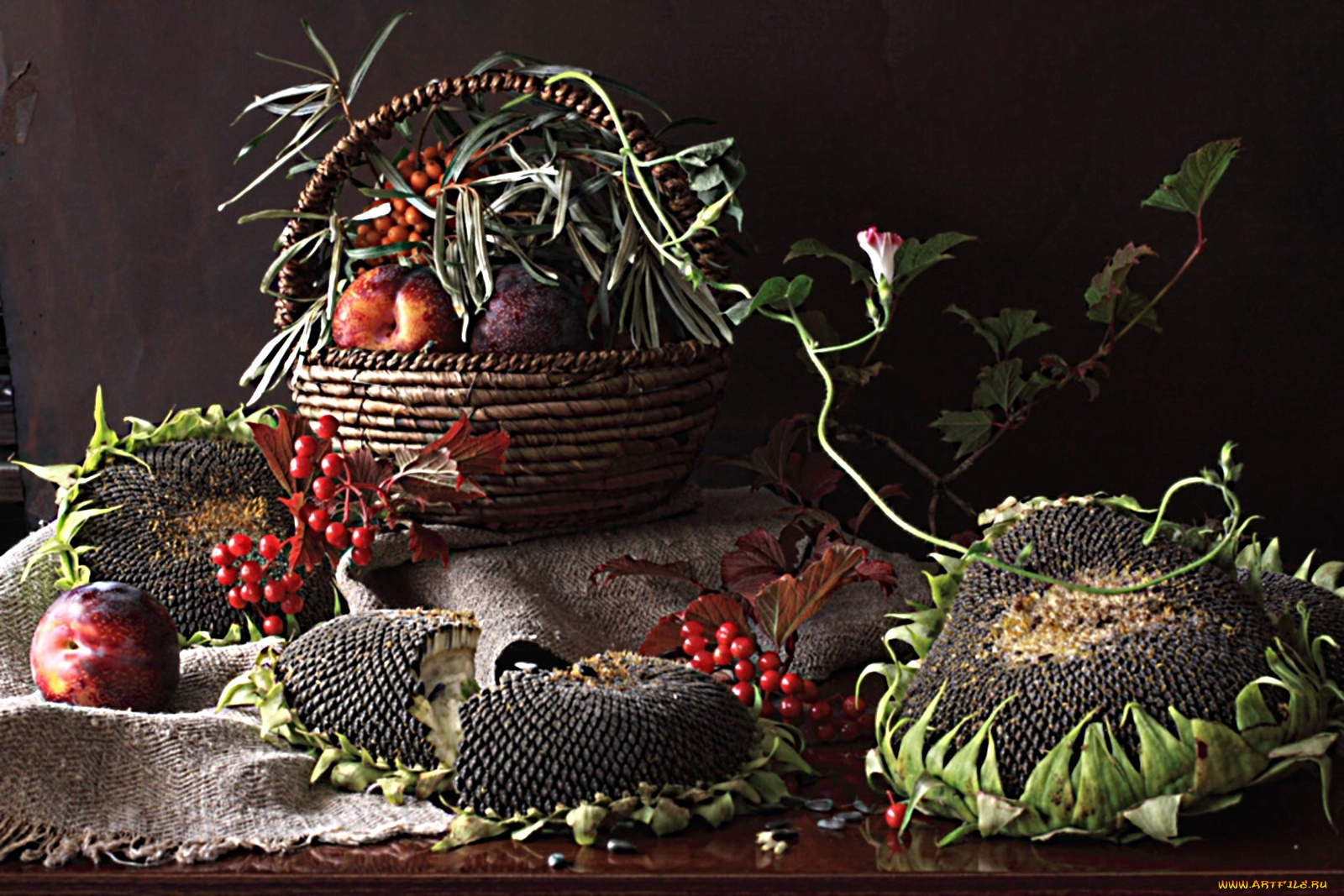 еда, натюрморт, подсолнухи, корзина, мешковина, сливы
