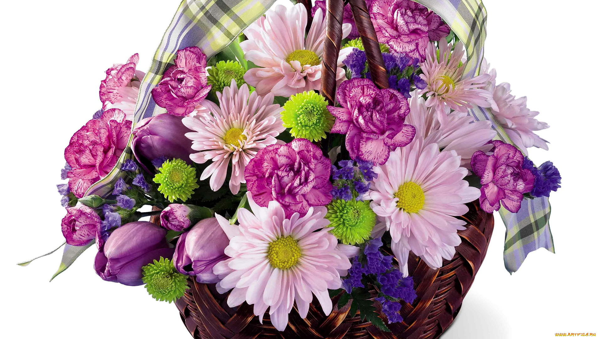 цветы, букеты, композиции, тюльпаны, ромашки, корзина, гвоздики
