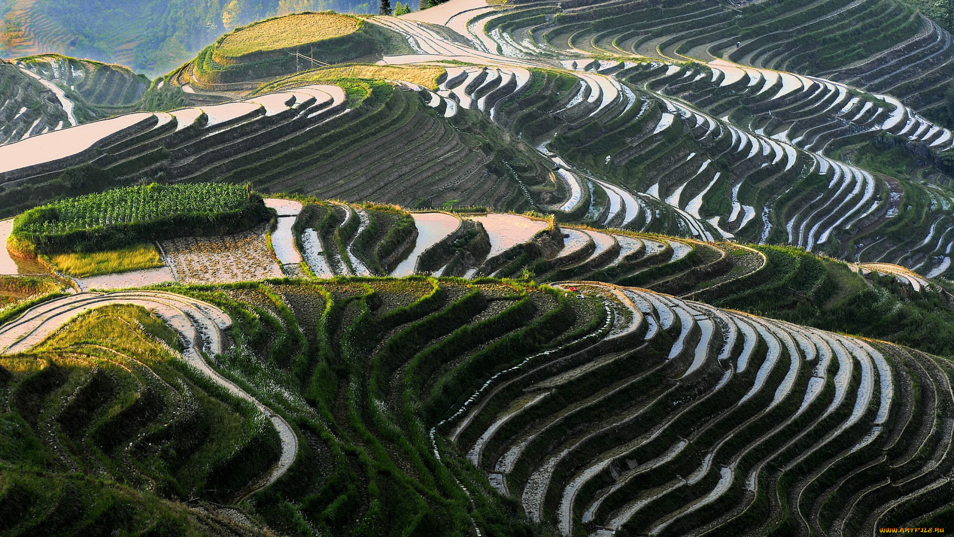 невероятный, мачупикчу, природа, поля, горы, террасы