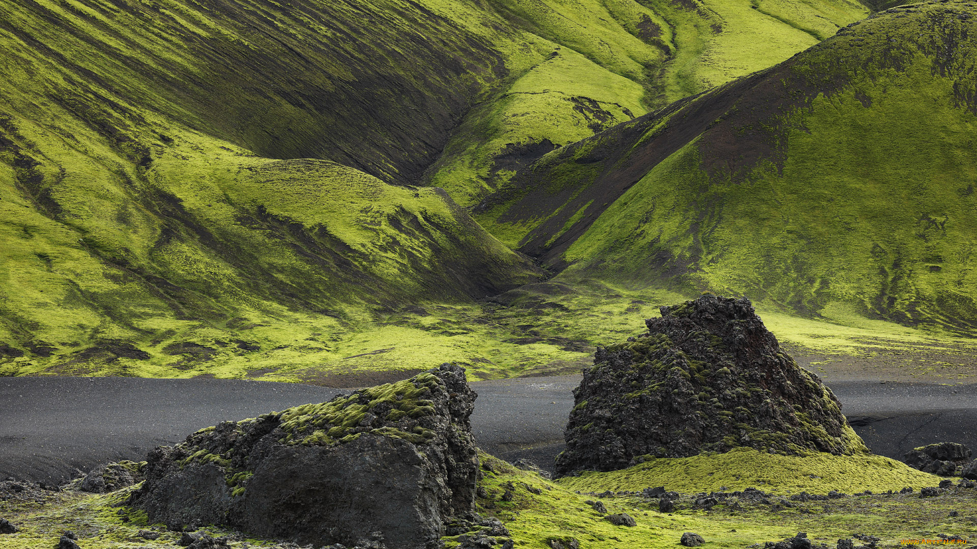 природа, горы, зелень