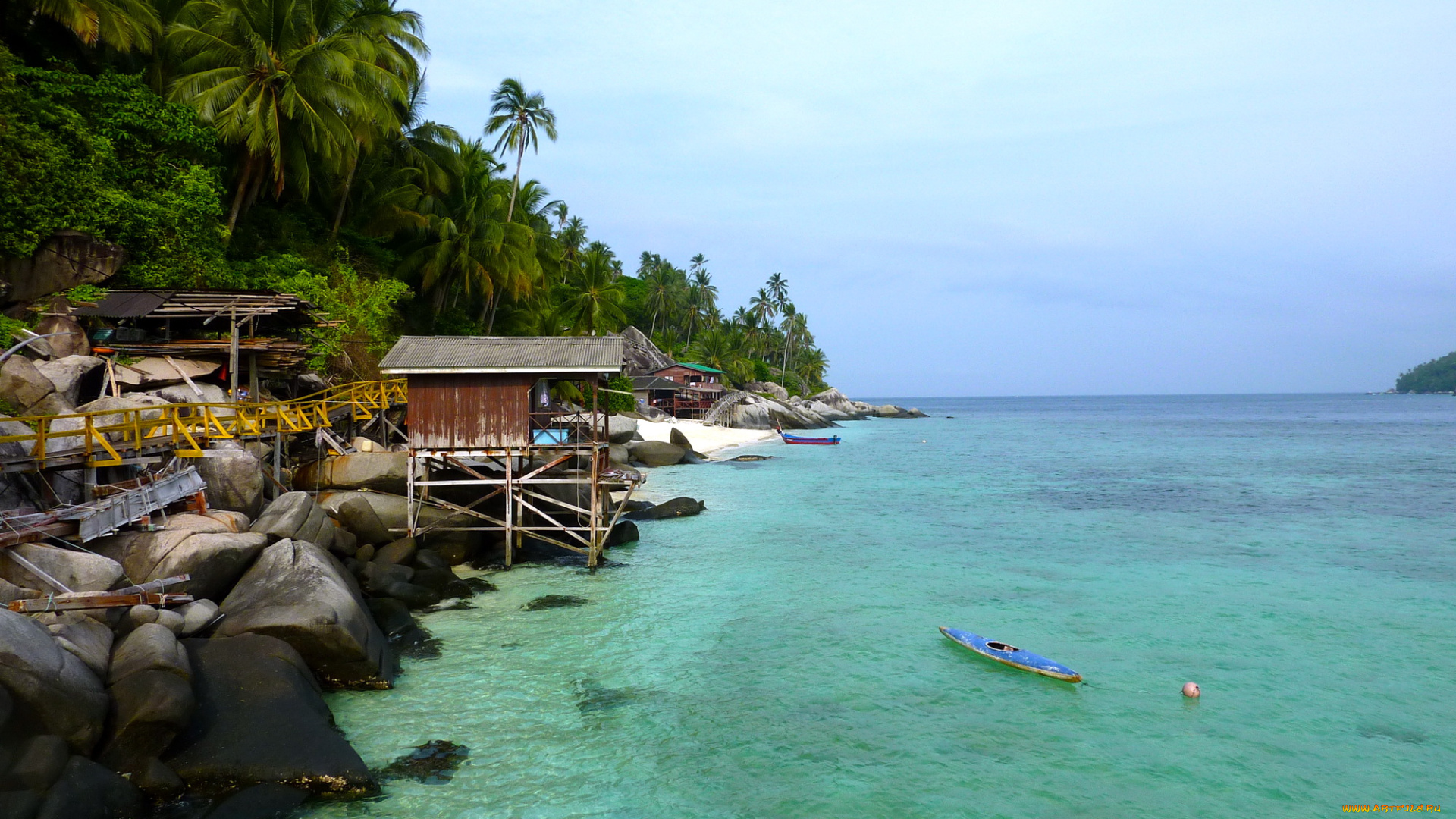 природа, тропики, река