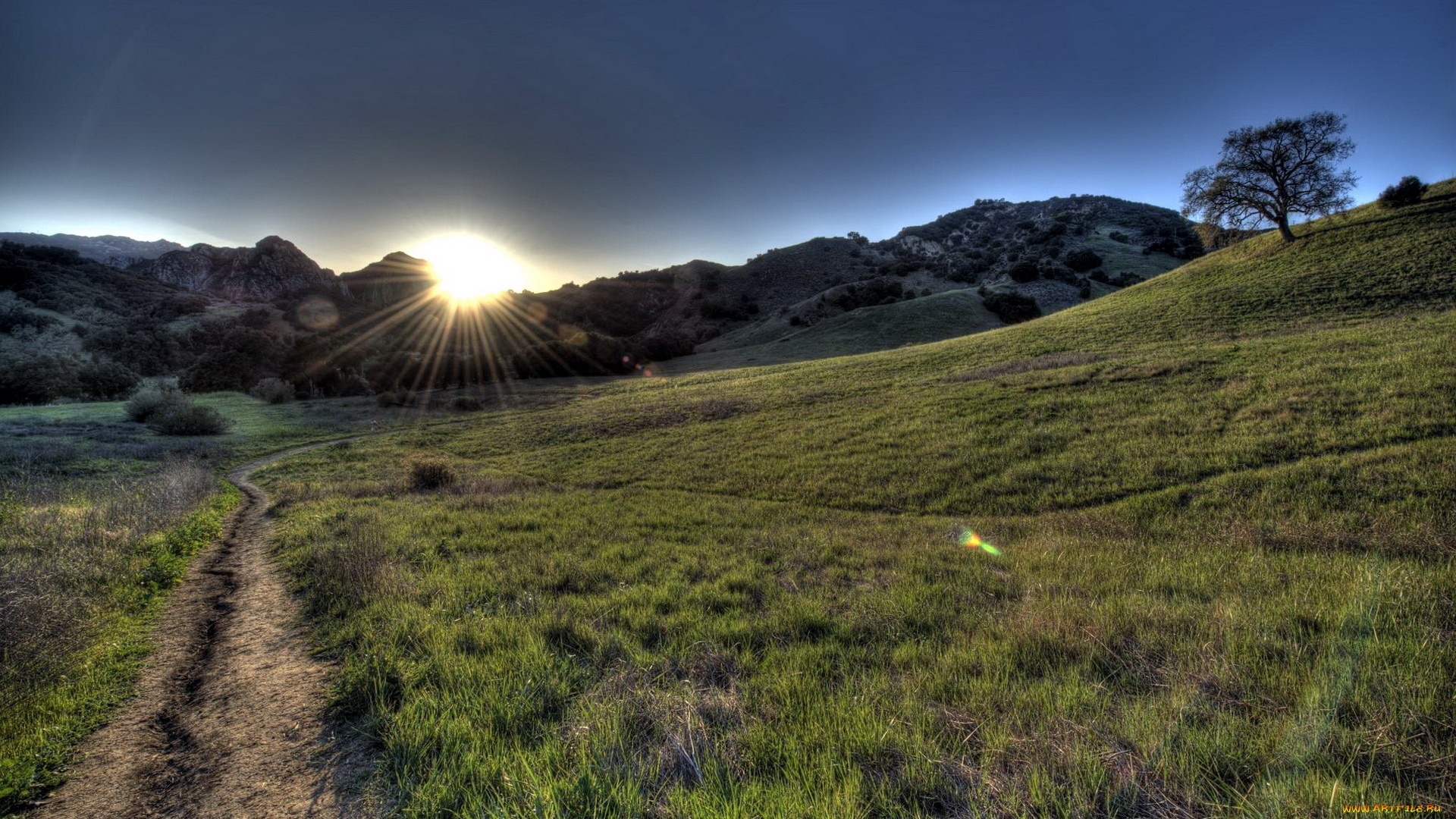 природа, восходы, закаты, дорога, утро, поле
