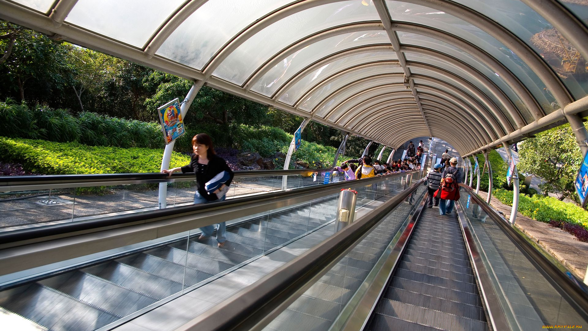 разное, транспортные, средства, магистрали, эскалатор