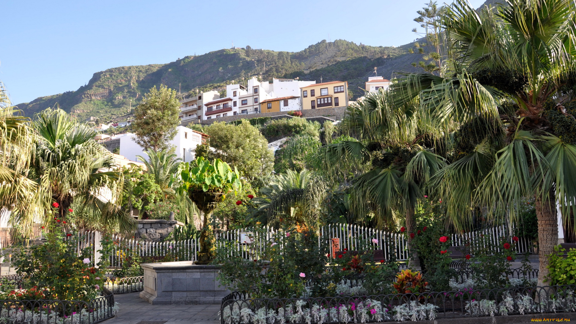 тенерифе, канарские, острова, испания, города, улицы, площади, набережные