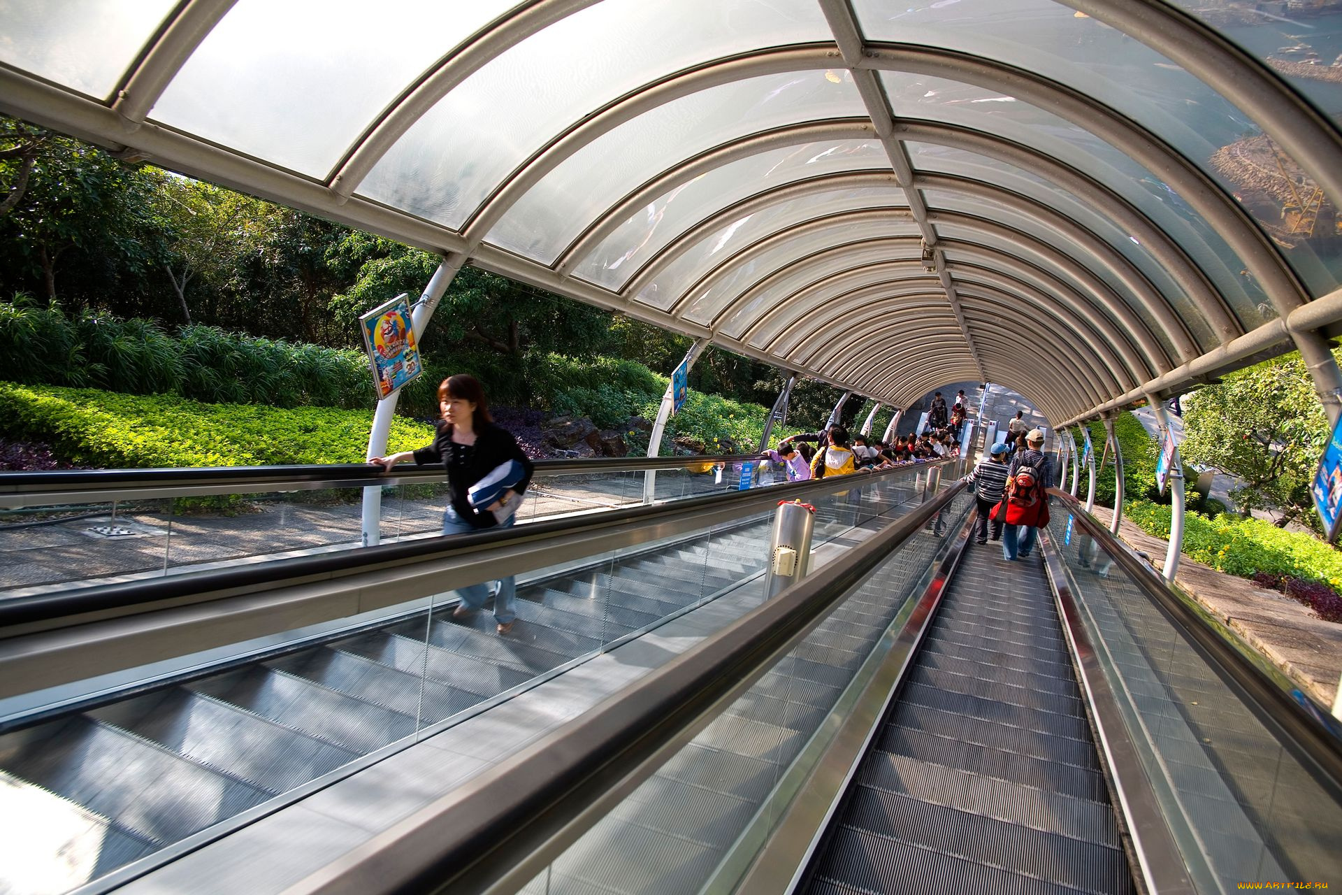 разное, транспортные, средства, магистрали, эскалатор