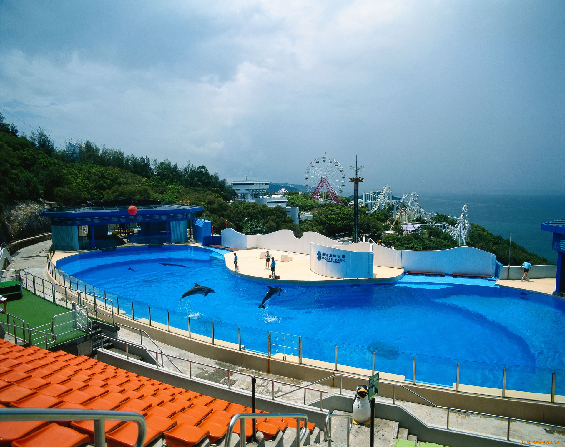 интерьер, бассейны, открытые, площадки, дельфинарий