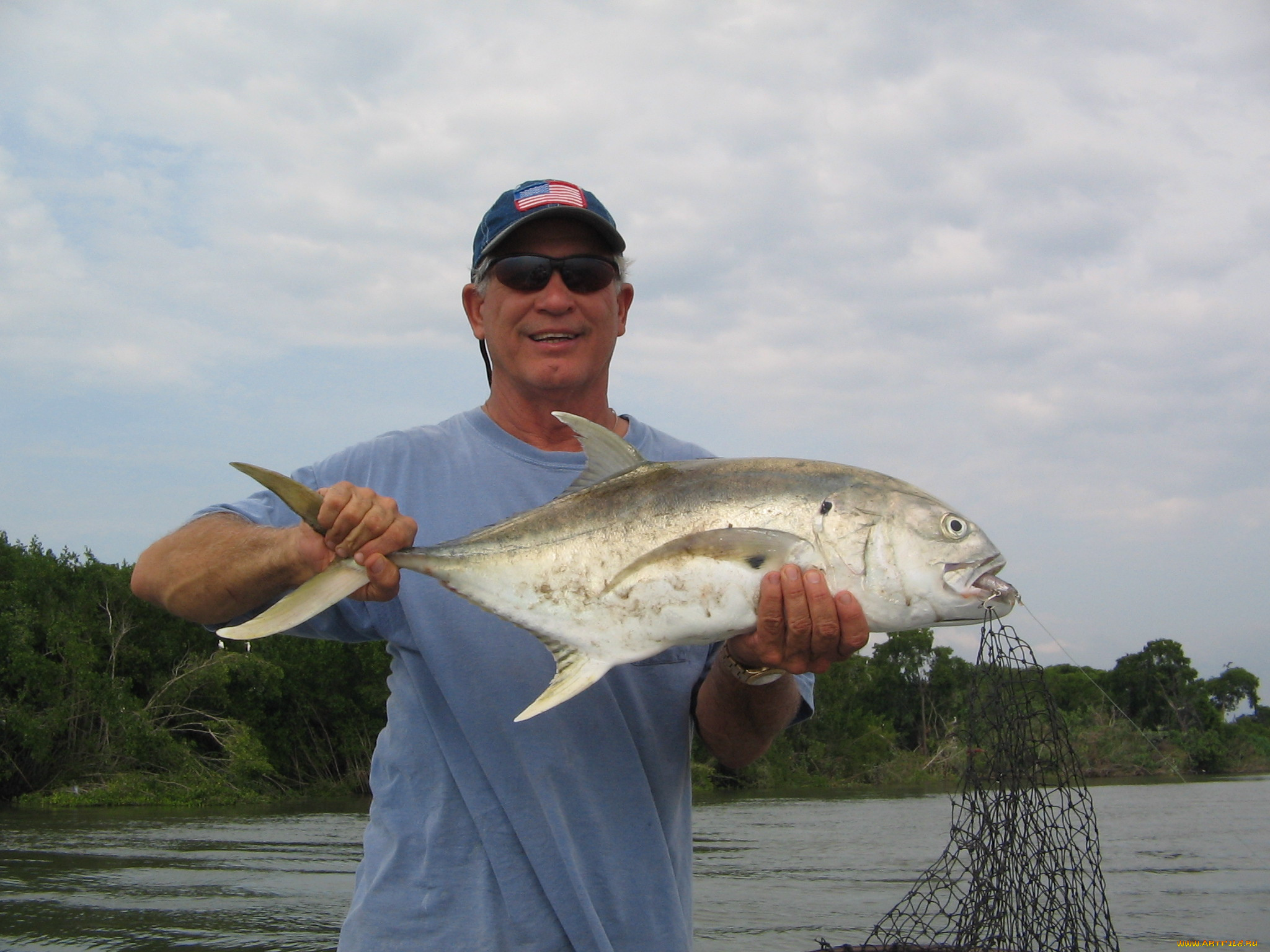 животные, рыбы, рыба