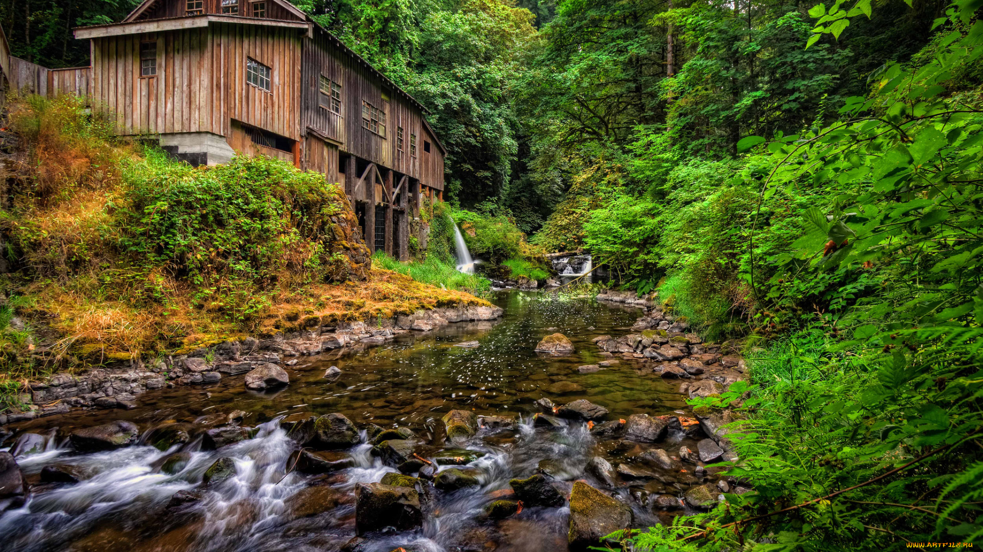 cedar, creek, grist, mill, woodland, washington, природа, реки, озера, вудленд, штат, вашингтон, река, мельница, лес