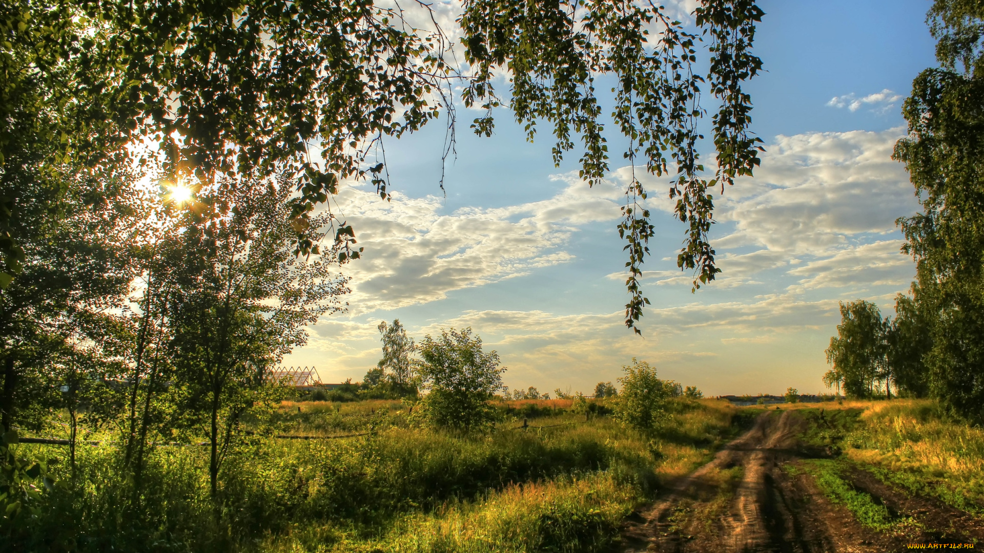 природа, дороги, колея, береза, деревня, небо