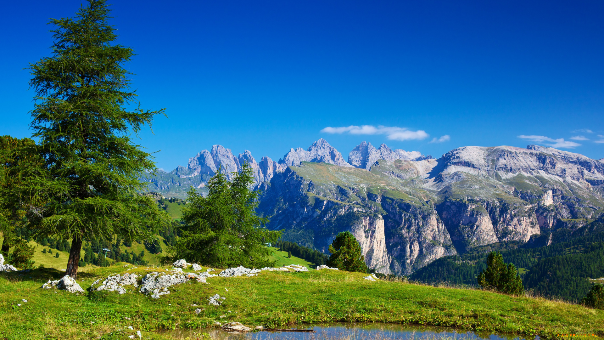 природа, горы, вода, камни, деревья, трава, луг