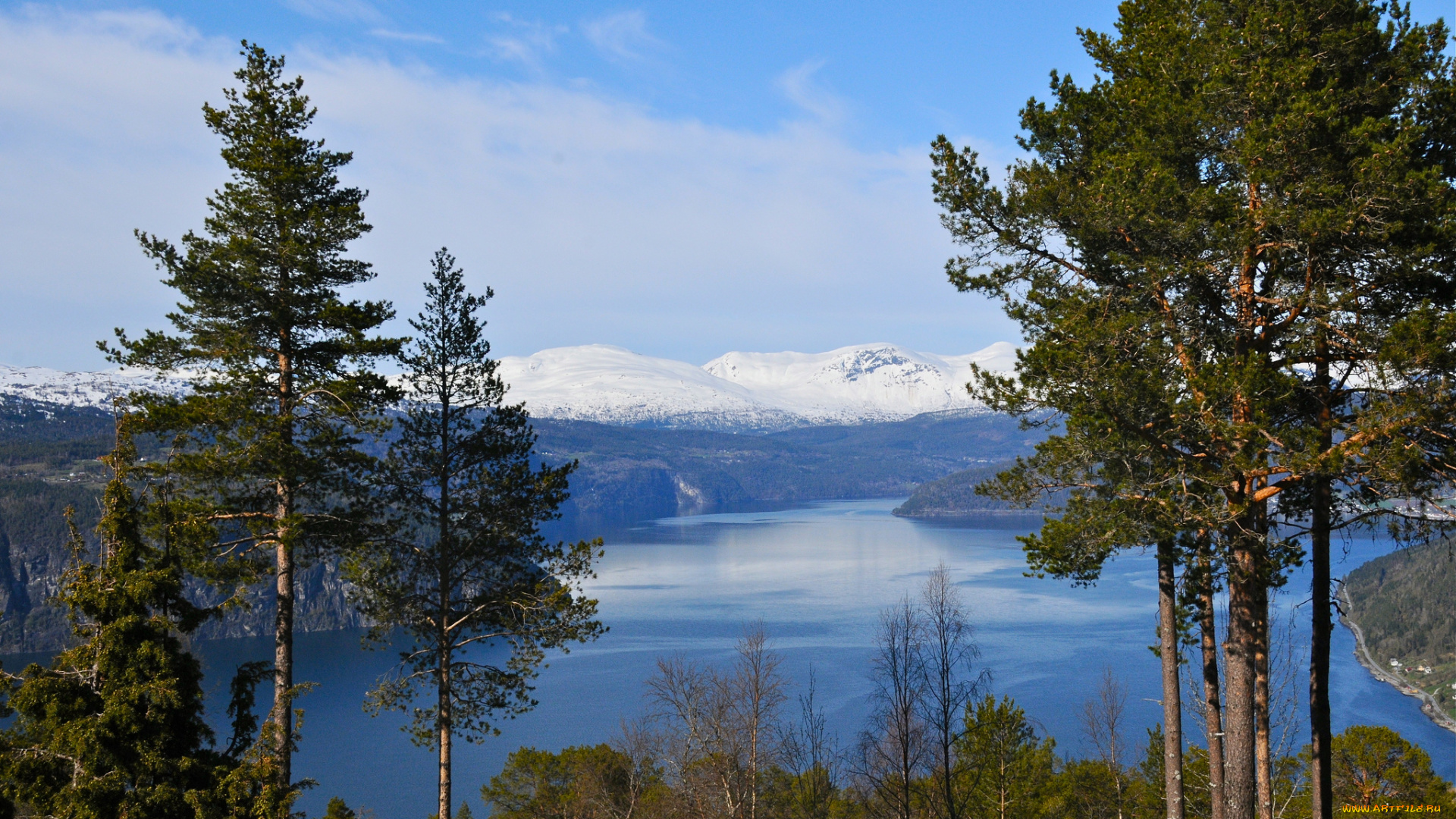 природа, реки, озера, норвегия, фьорд, горы, деревья