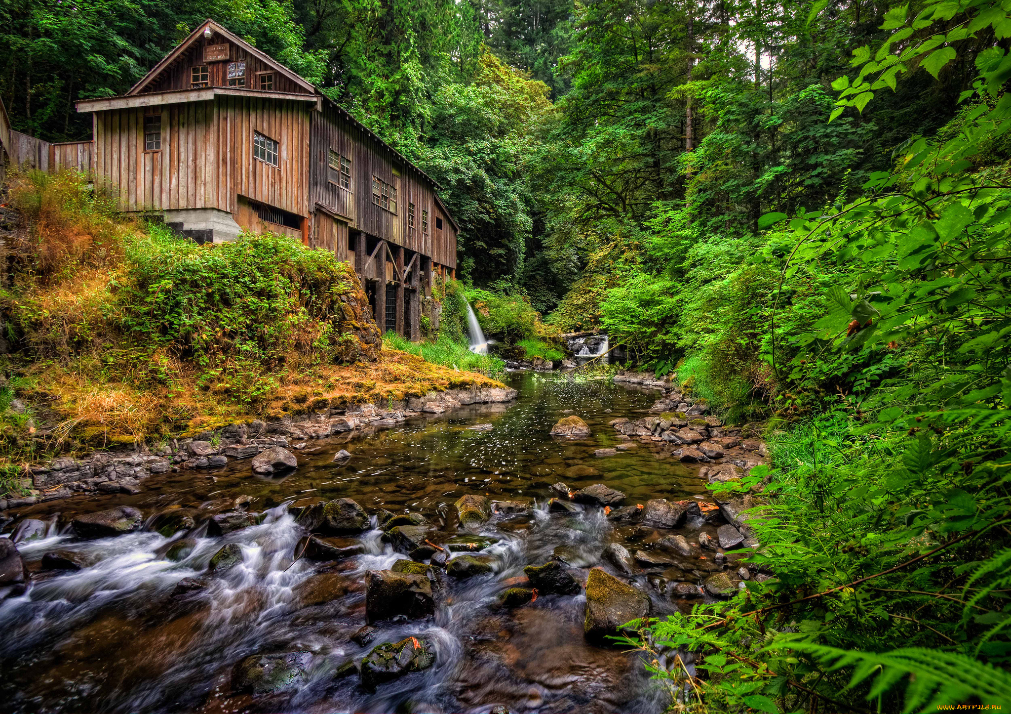 cedar, creek, grist, mill, woodland, washington, природа, реки, озера, вудленд, штат, вашингтон, река, мельница, лес