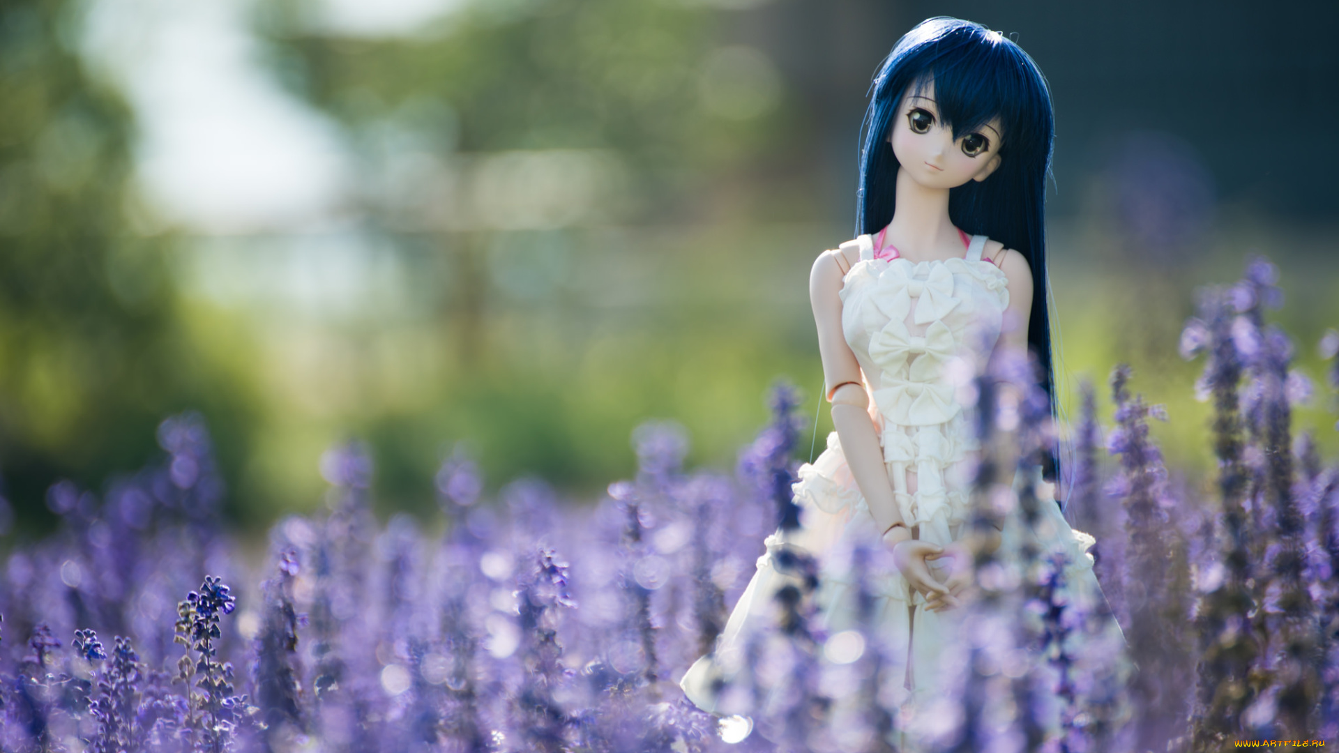 разное, игрушки, цветы, игрушка, кукла