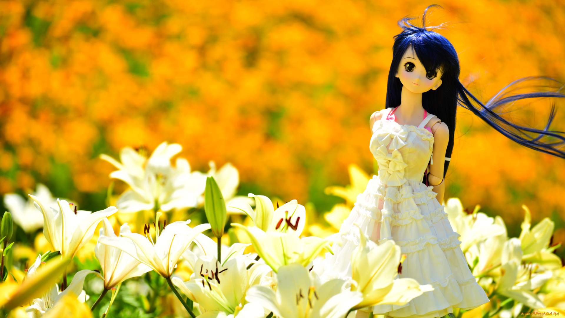 разное, игрушки, цветы, кукла, игрушка