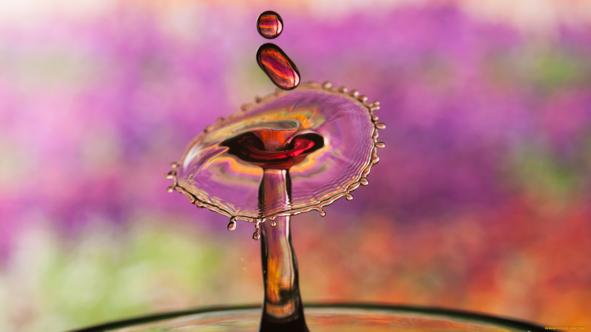 разное, капли, , брызги, , всплески, капля, макро, вода