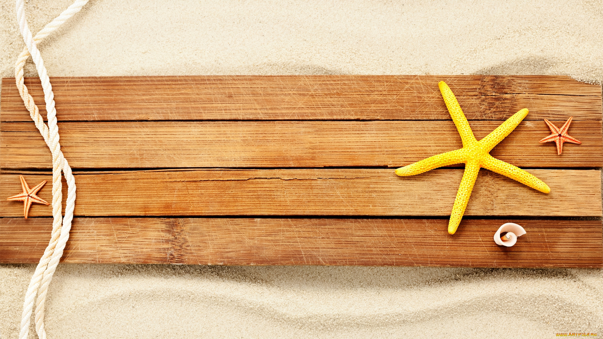 разное, ракушки, , кораллы, , декоративные, и, spa-камни, морские, звезды, веревка, доска, песок