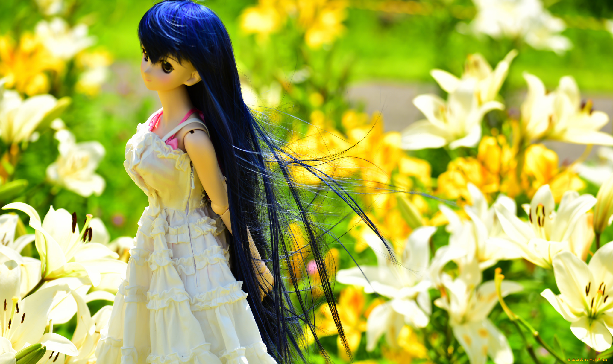 разное, игрушки, игрушка, кукла, цветы