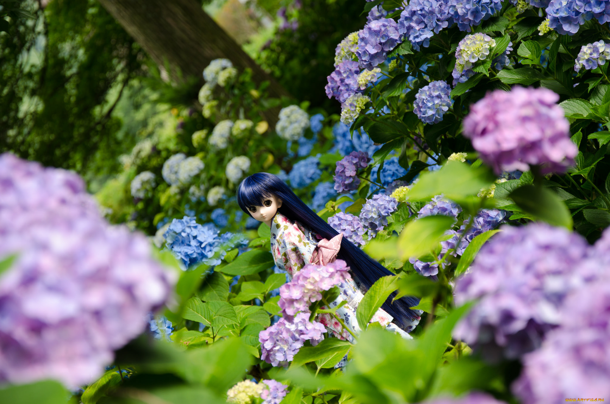 разное, игрушки, игрушка, кукла, цветы