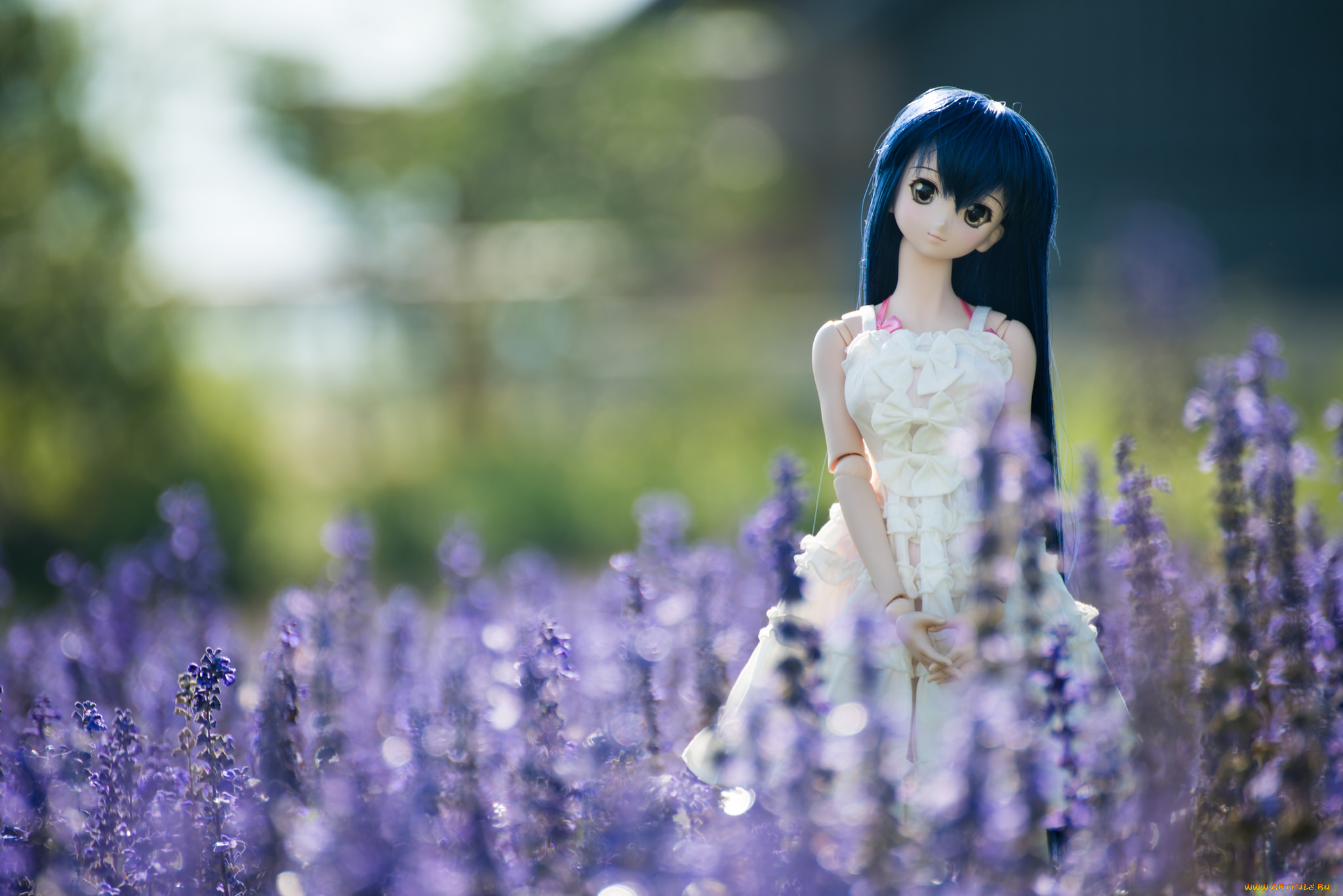 разное, игрушки, цветы, игрушка, кукла