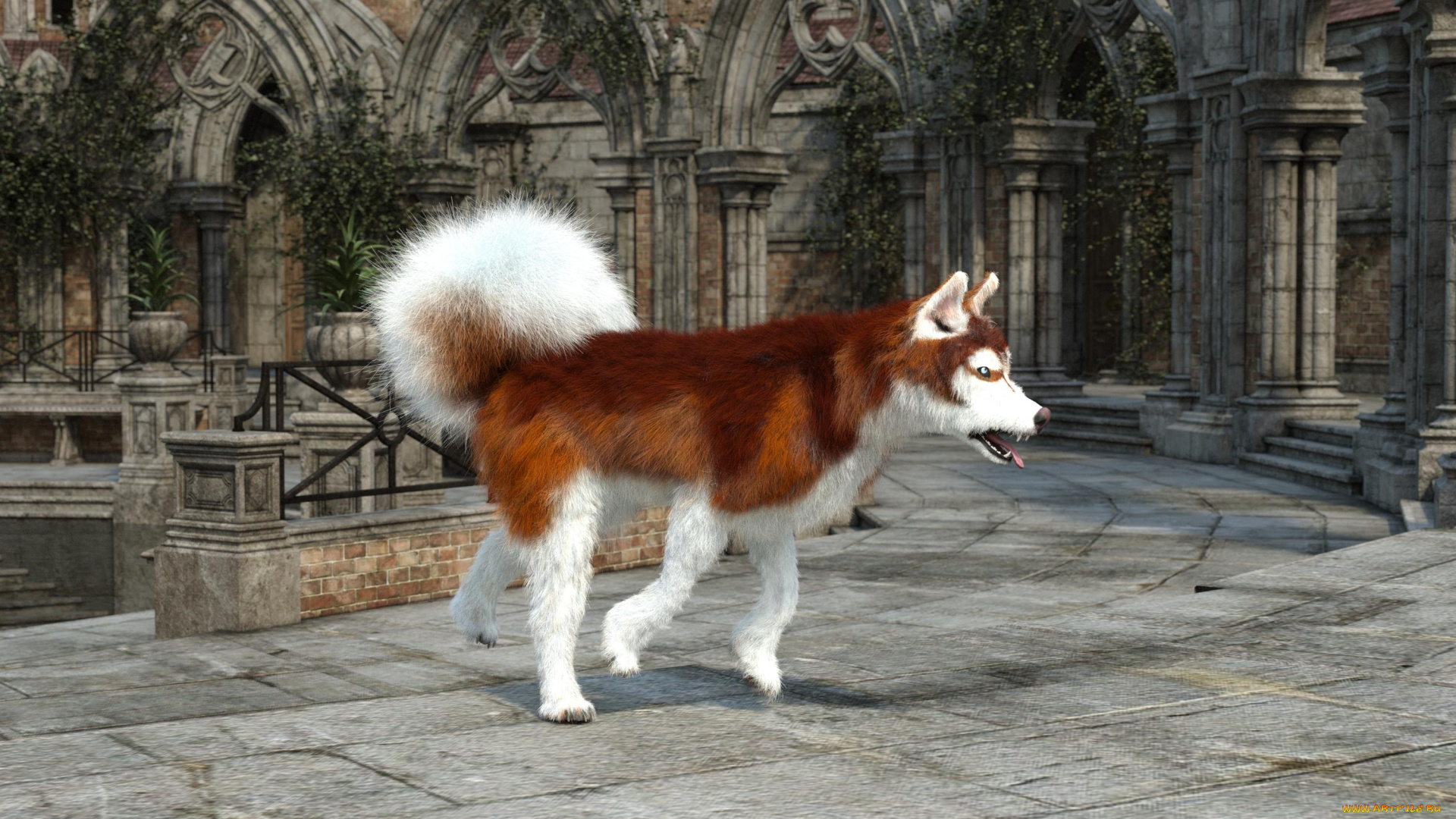 3д, графика, животные, , animals, фон, взгляд, собака