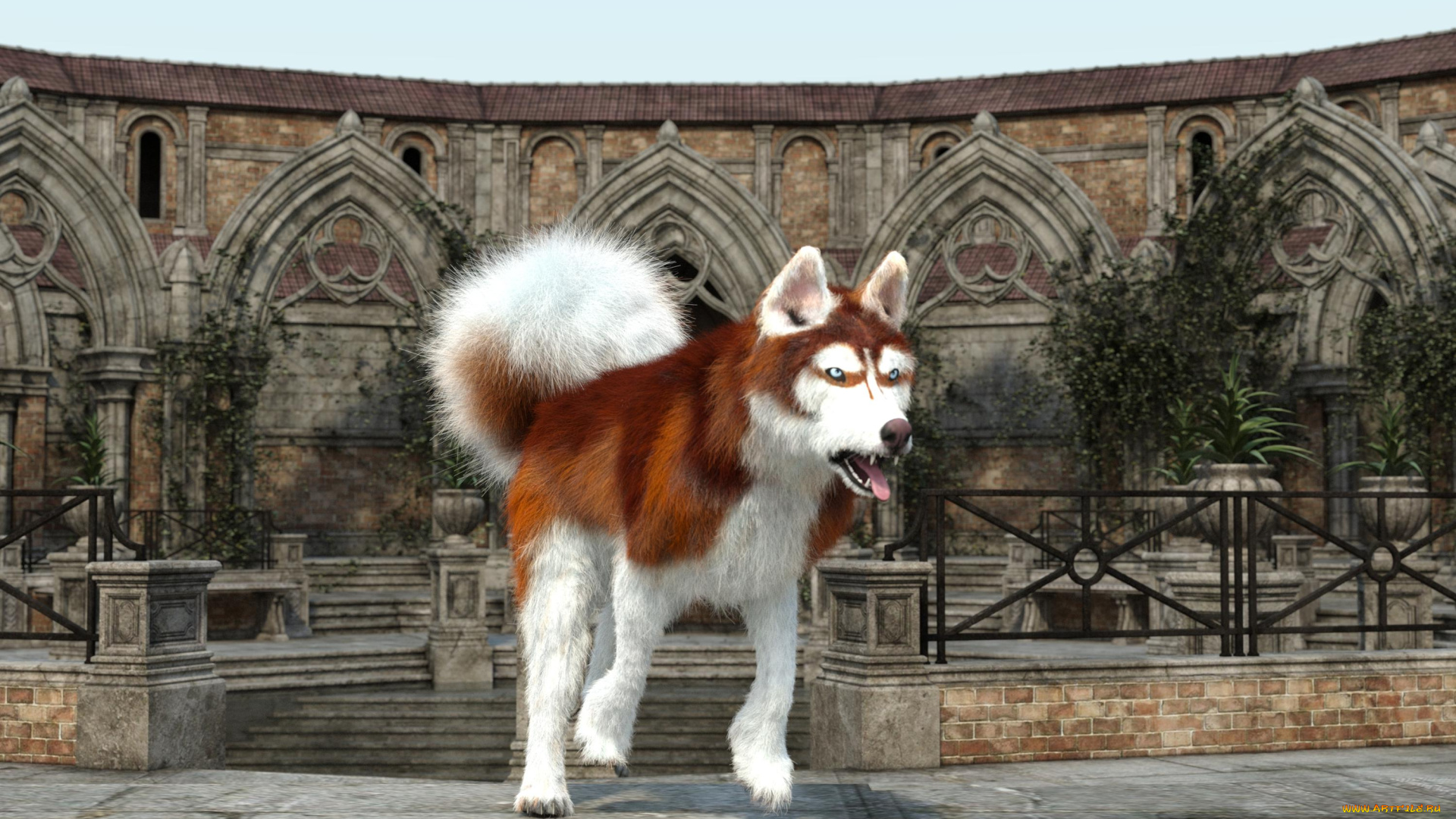 3д, графика, животные, , animals, фон, взгляд, собака