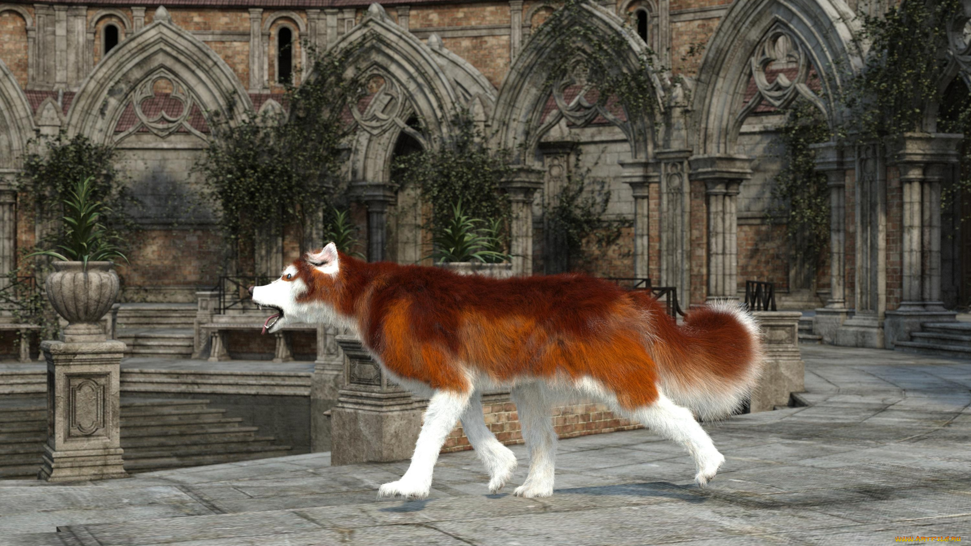 3д, графика, животные, , animals, фон, взгляд, собака