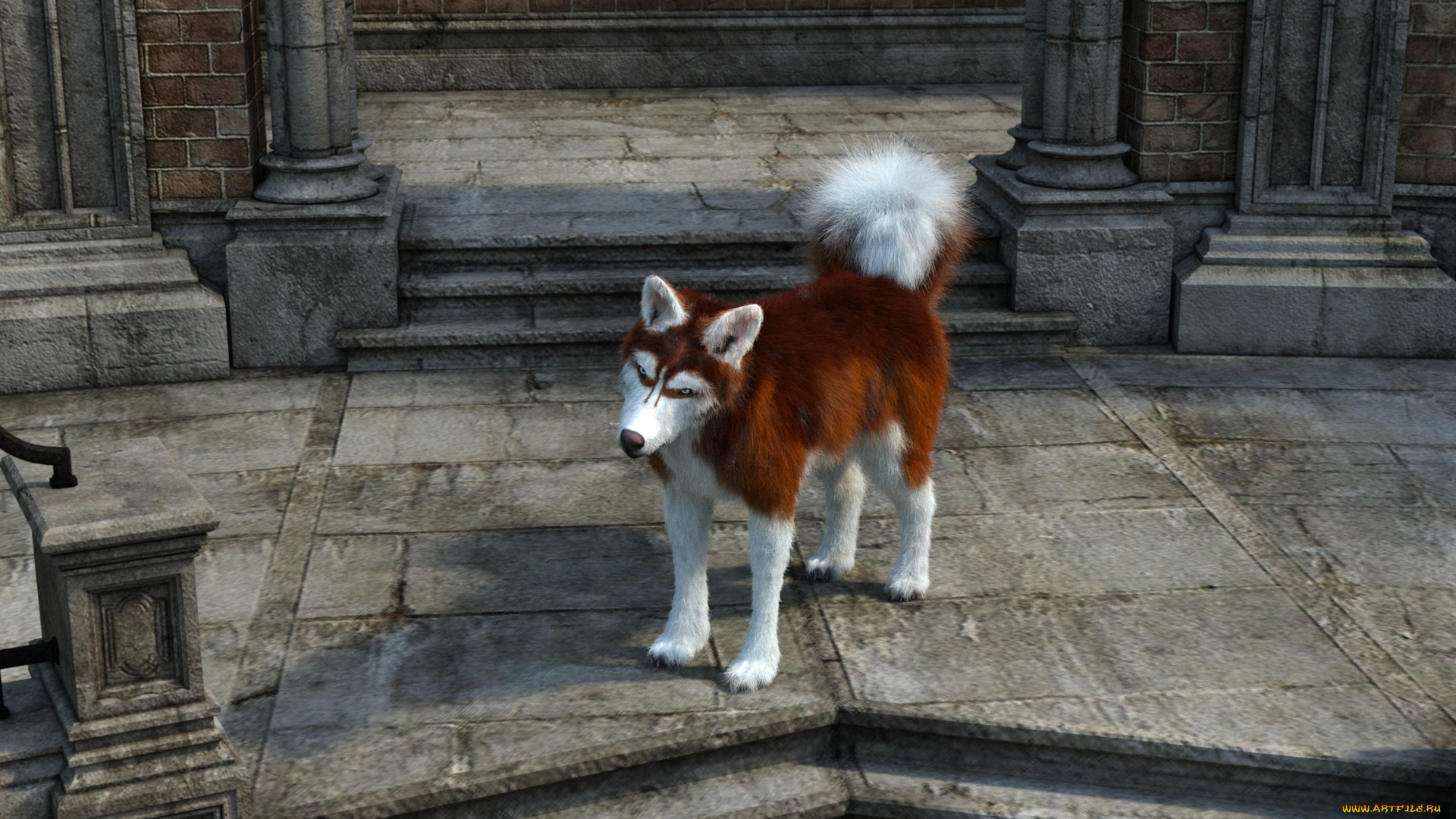 3д, графика, животные, , animals, собака, друг, взгляд