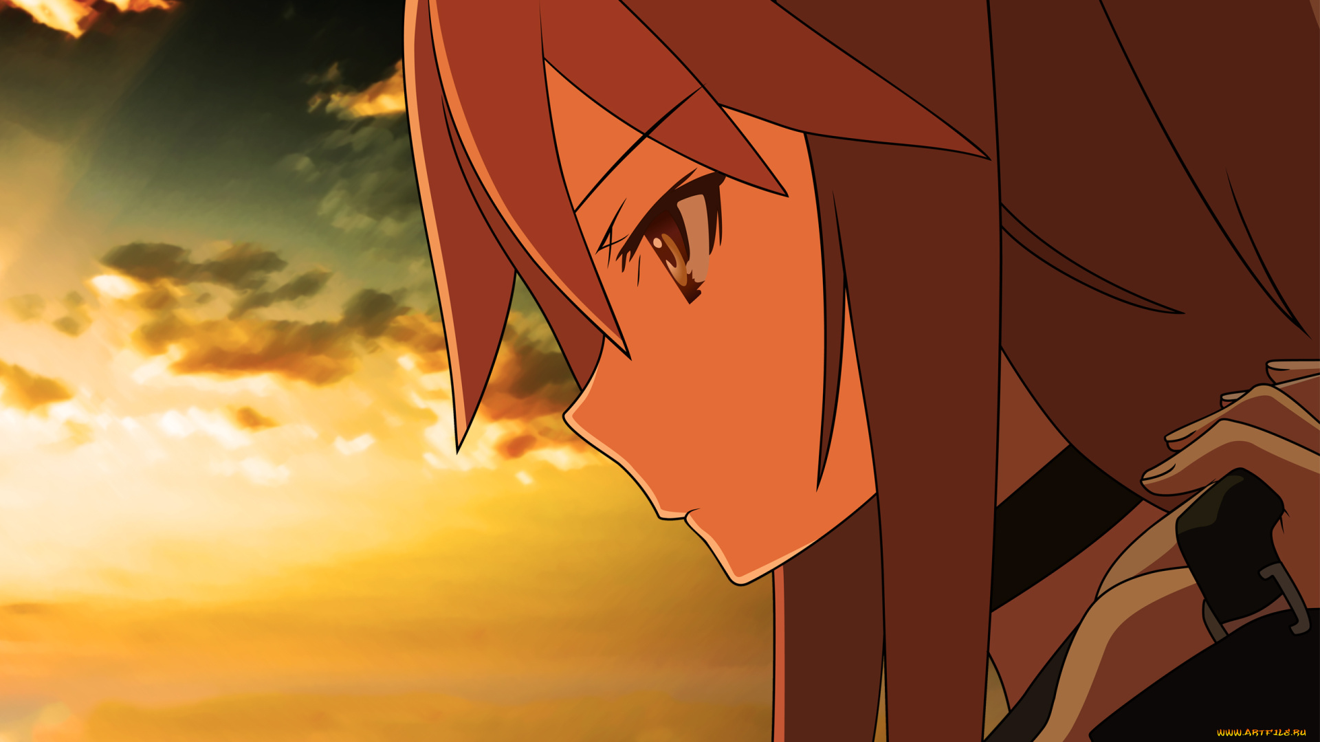 аниме, ookami-san, to, shichinin, no, nakama-tachi, девушка, взгляд, фон