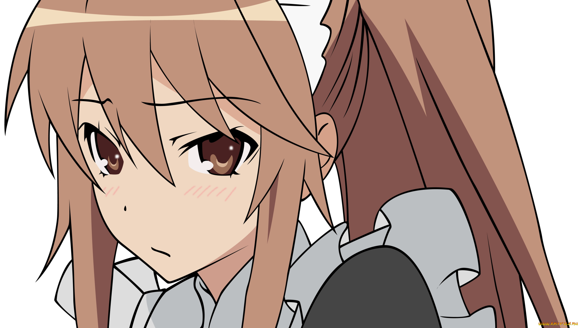 аниме, ookami-san, to, shichinin, no, nakama-tachi, девушка, взгляд, фон