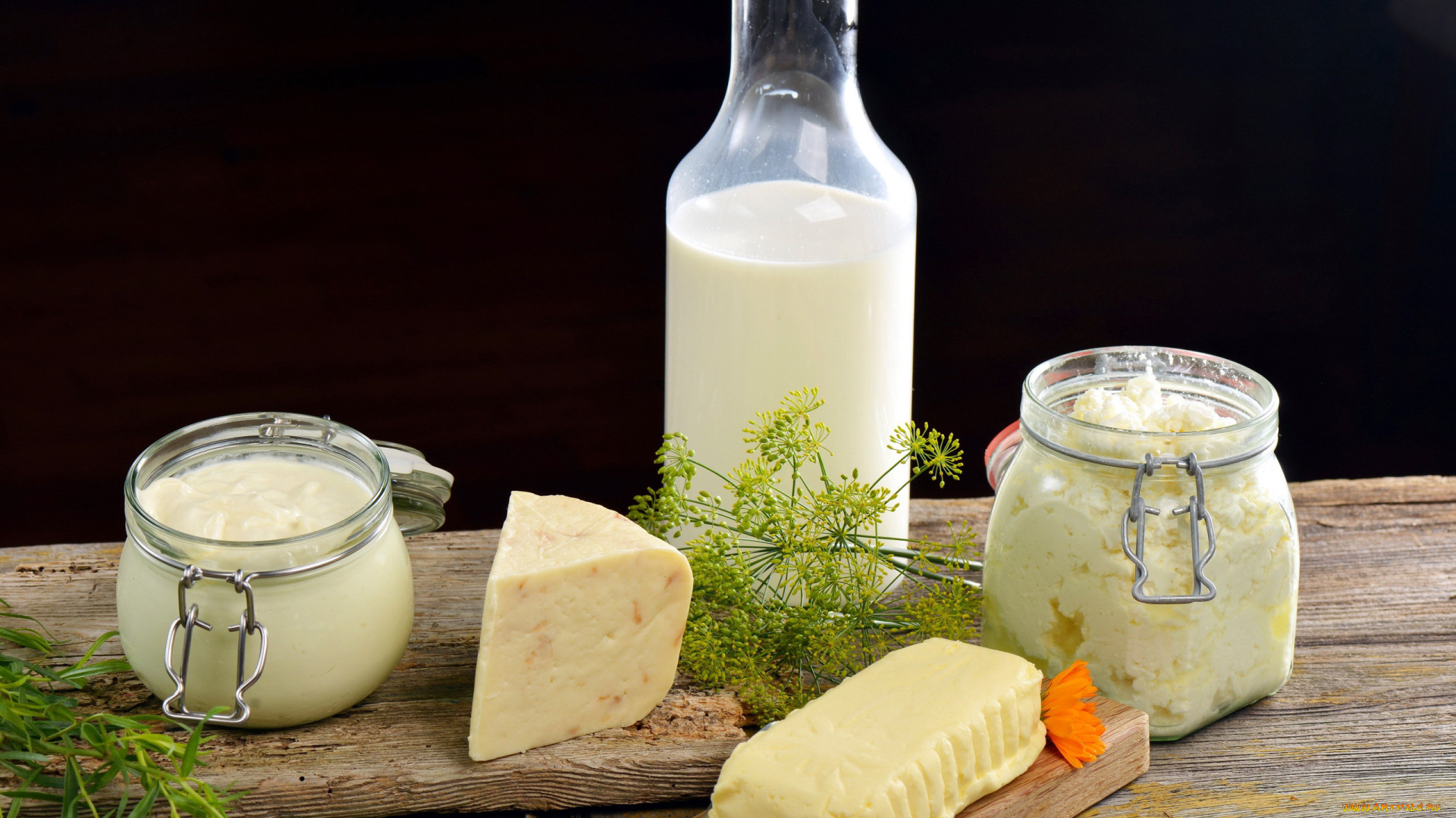 еда, масло, , молочные, продукты, сметана, творог, сыр, молоко, укроп