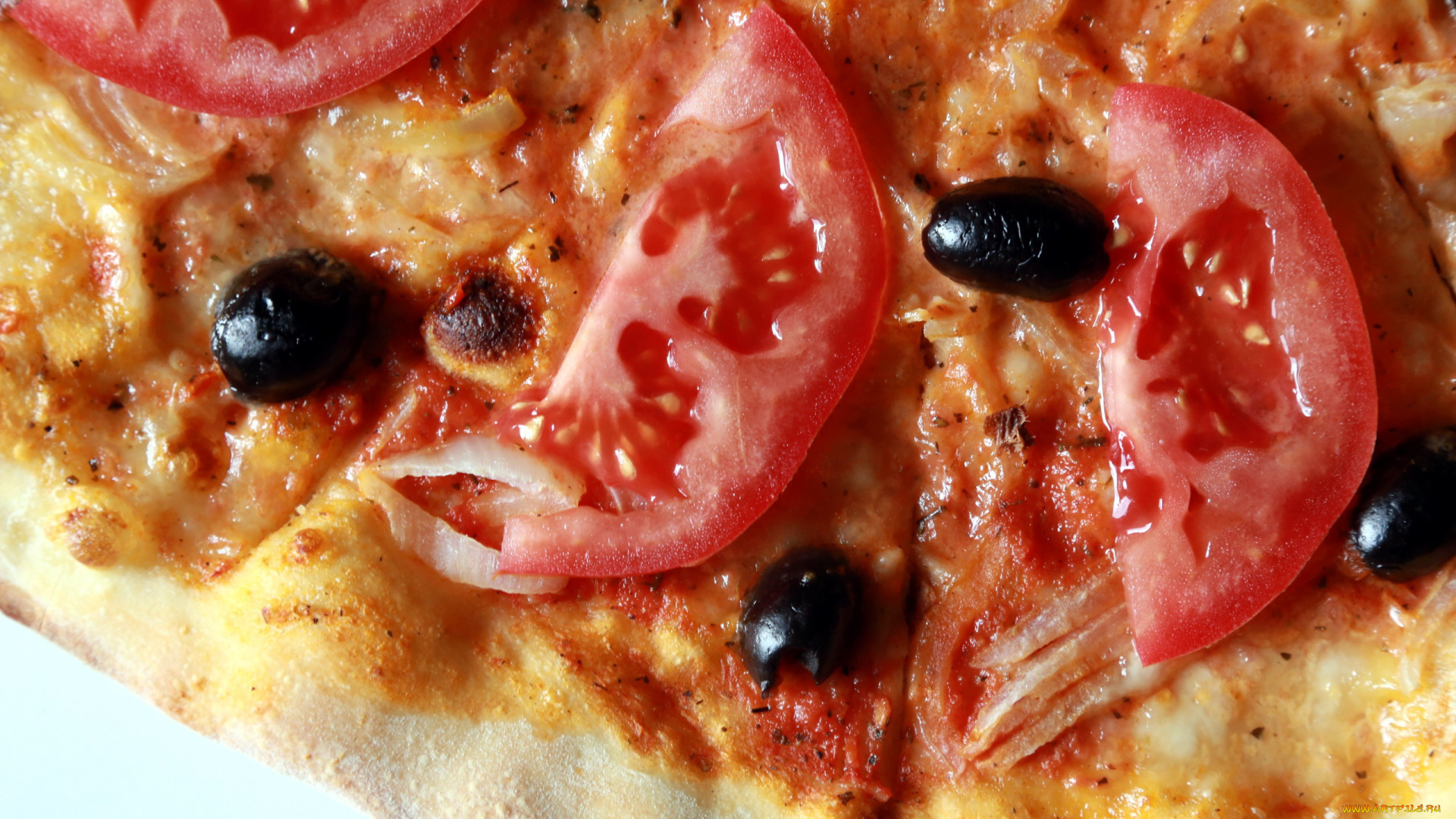 еда, пицца, помидоры, маслины, макро