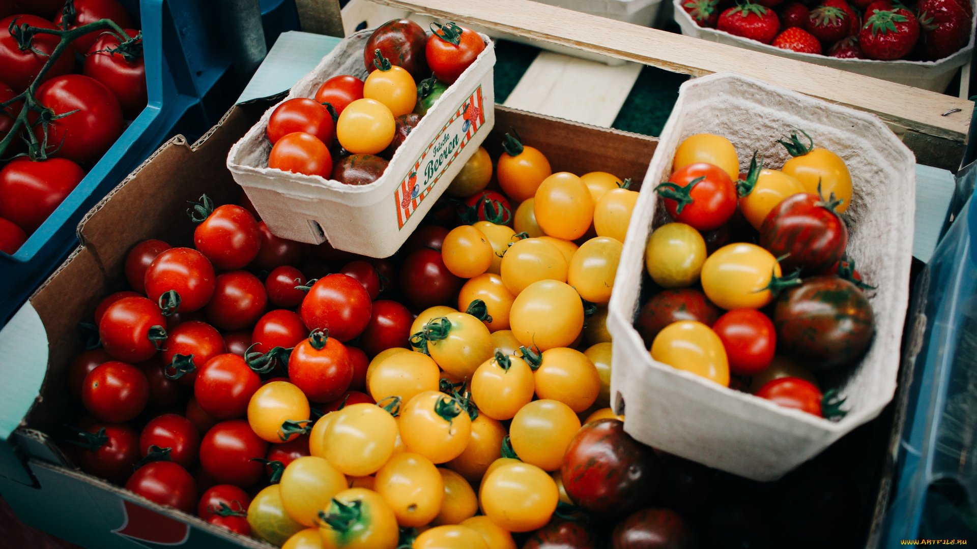 еда, помидоры, томаты, желтые, красные, много