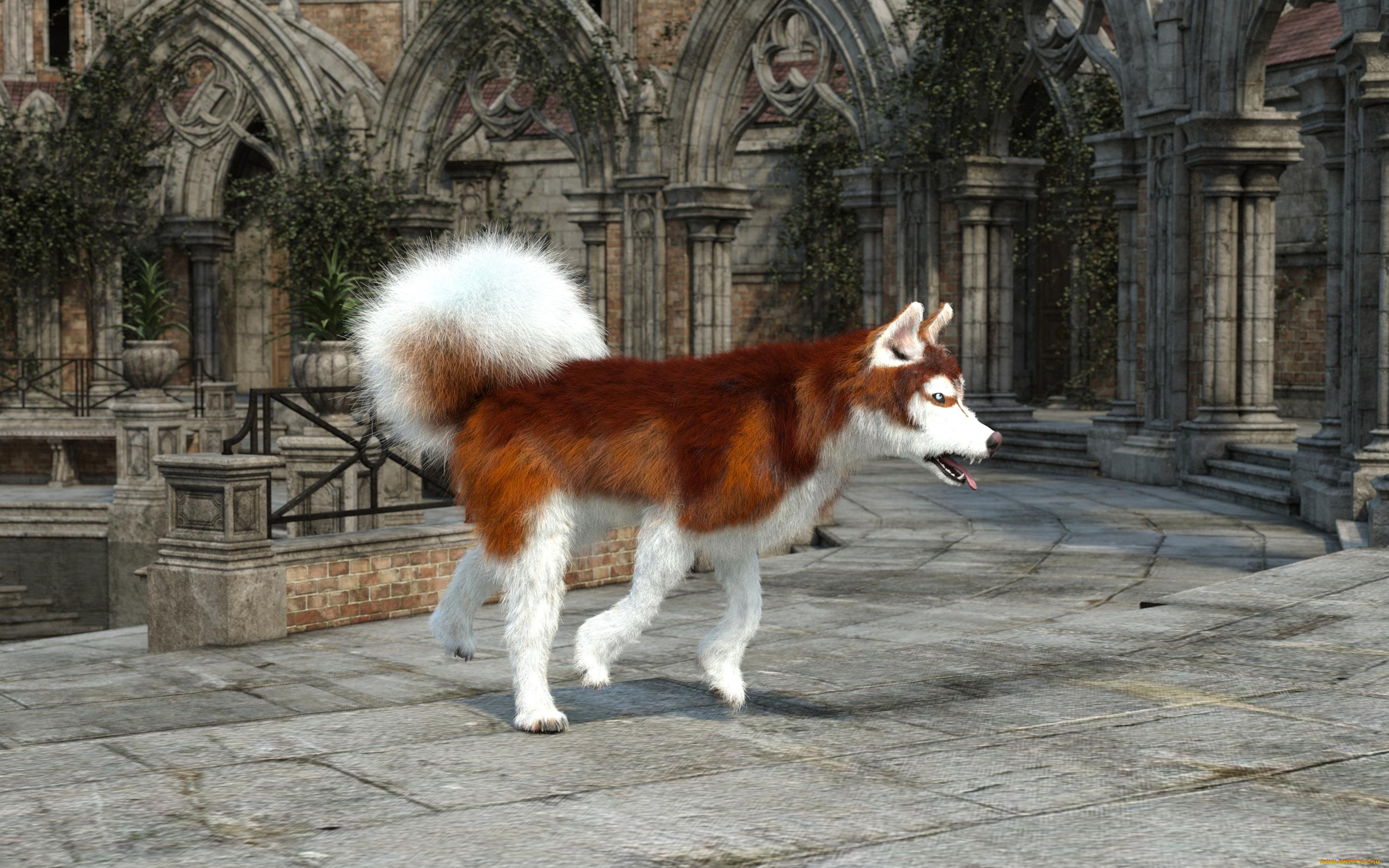 3д, графика, животные, , animals, фон, взгляд, собака