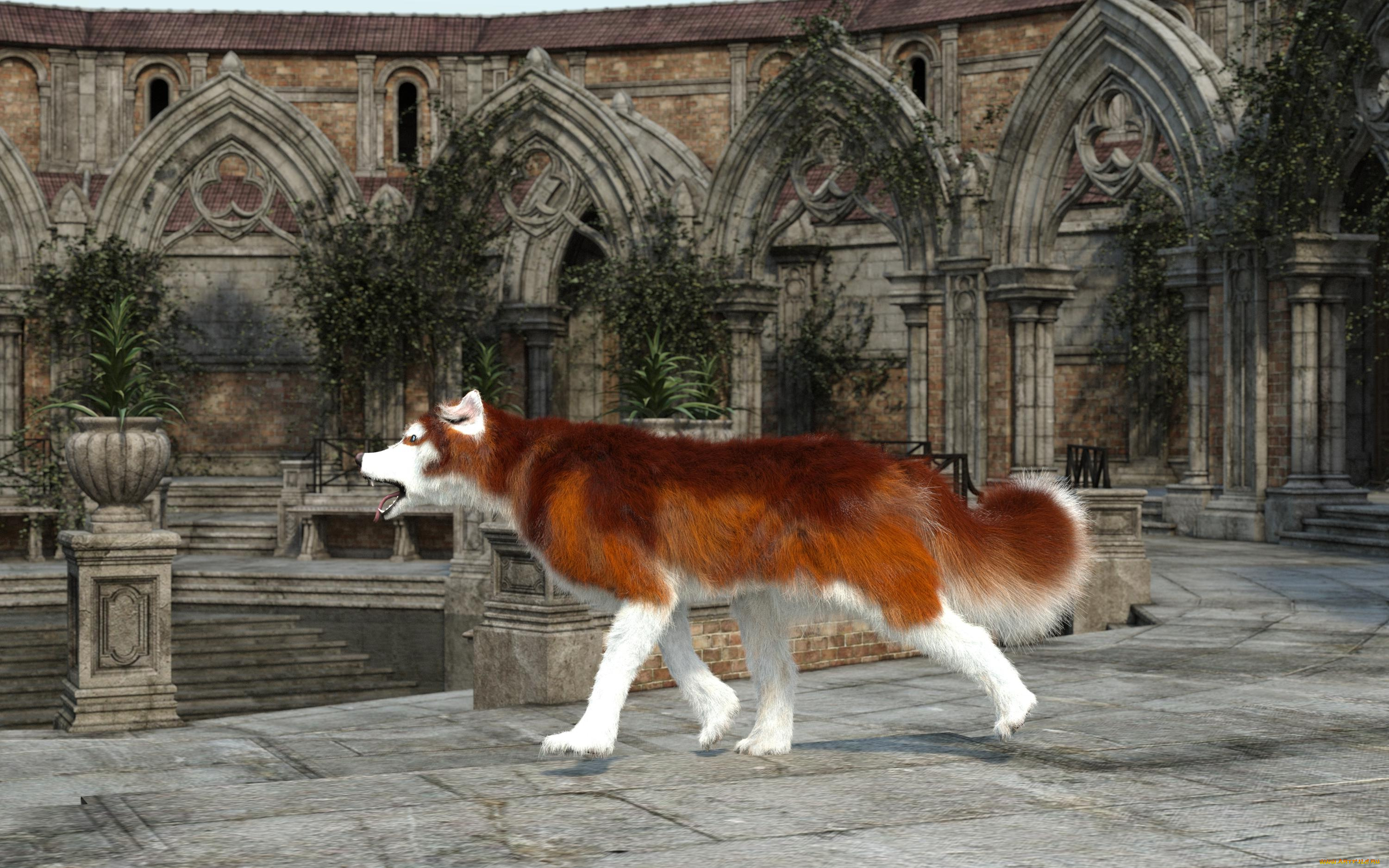 3д, графика, животные, , animals, фон, взгляд, собака