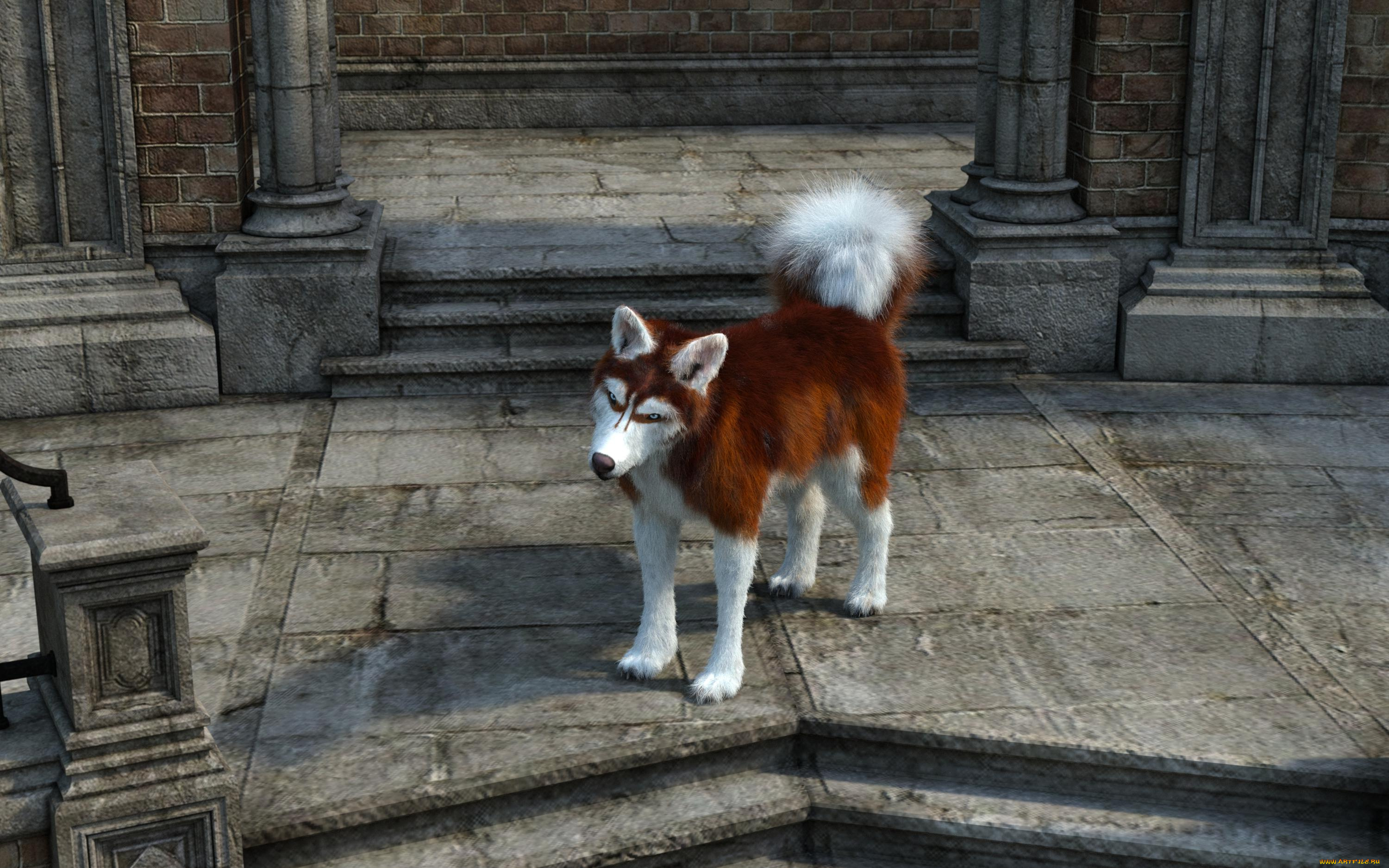 3д, графика, животные, , animals, собака, друг, взгляд