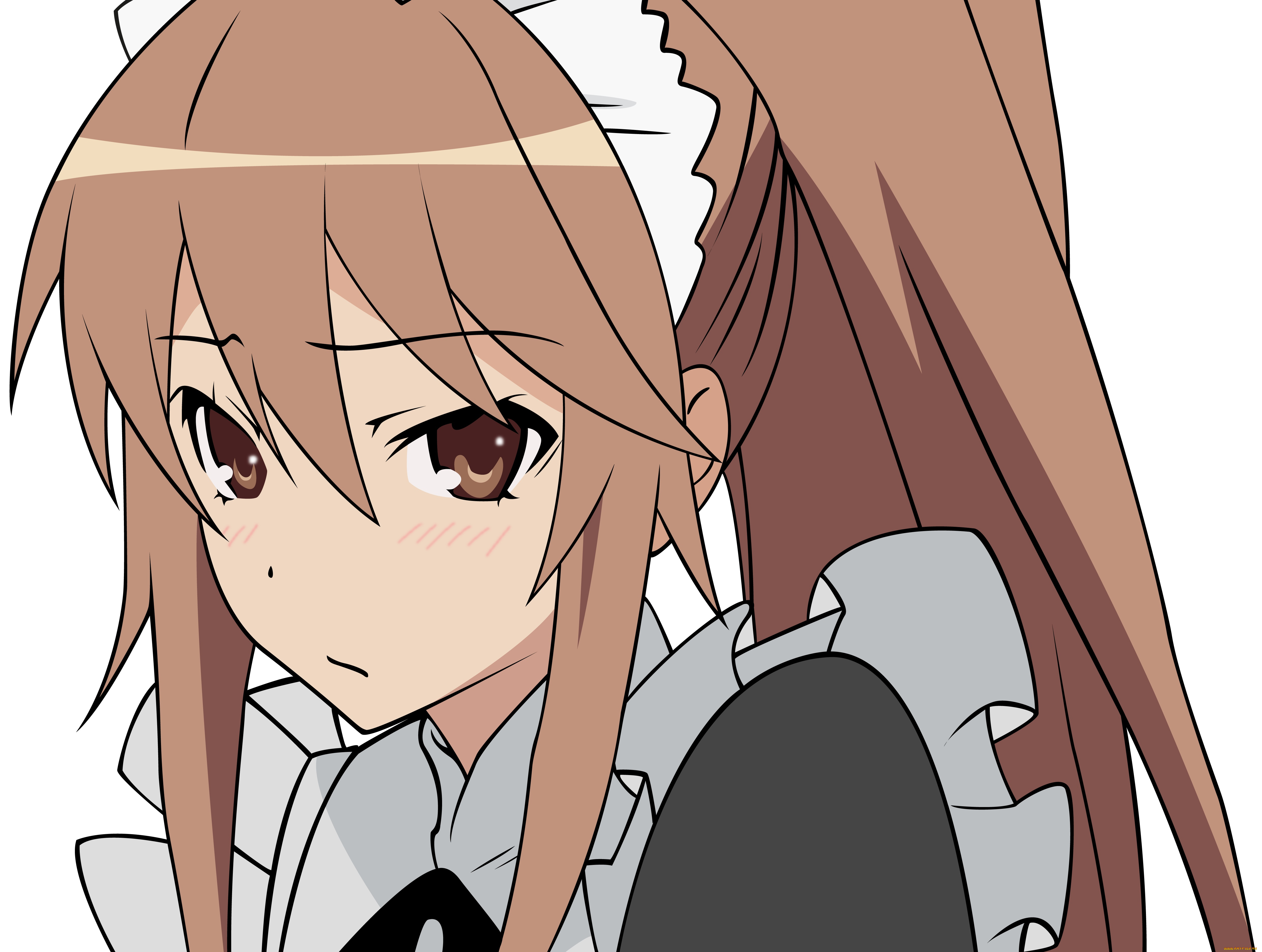 аниме, ookami-san, to, shichinin, no, nakama-tachi, девушка, взгляд, фон