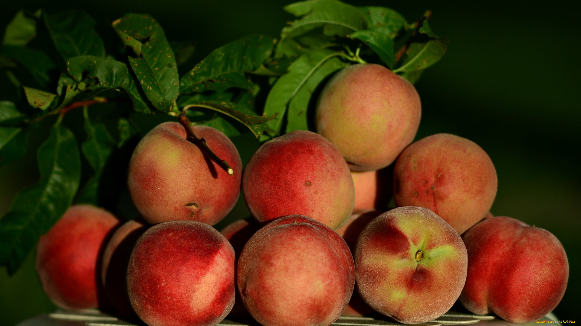 еда, персики, , сливы, , абрикосы, снедь