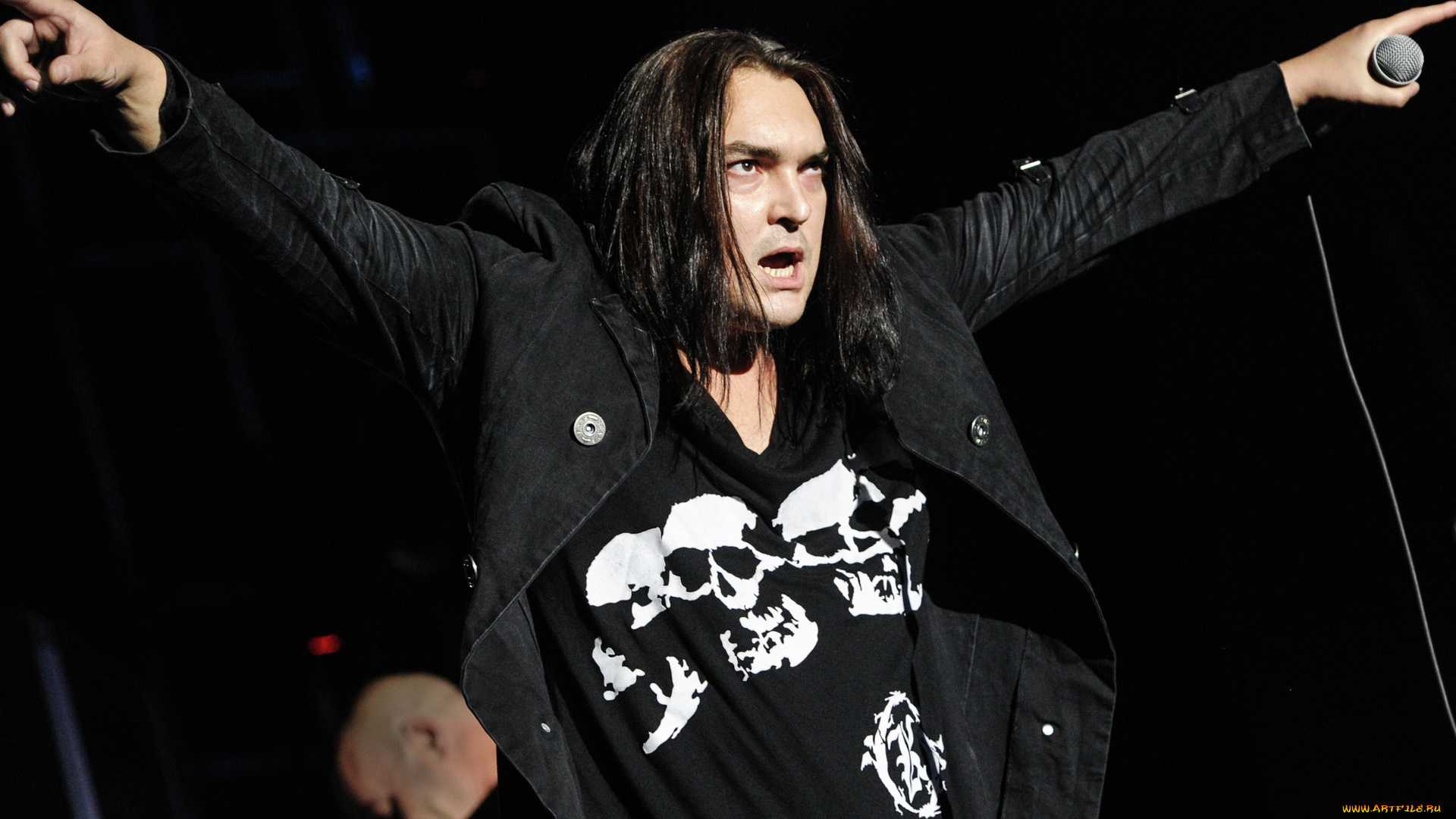 король, и, шут, музыка, мужчина, череп, микрофон