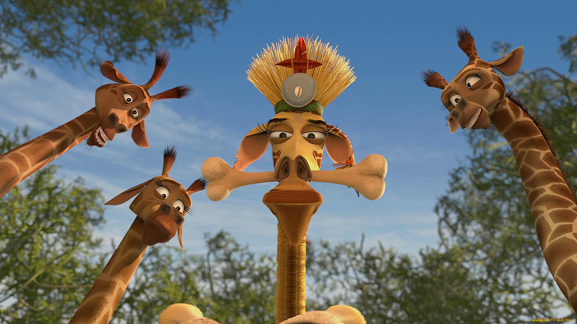 мультфильмы, madagascar, , escape, 2, africa, раскраска, кость, четыре, жираф