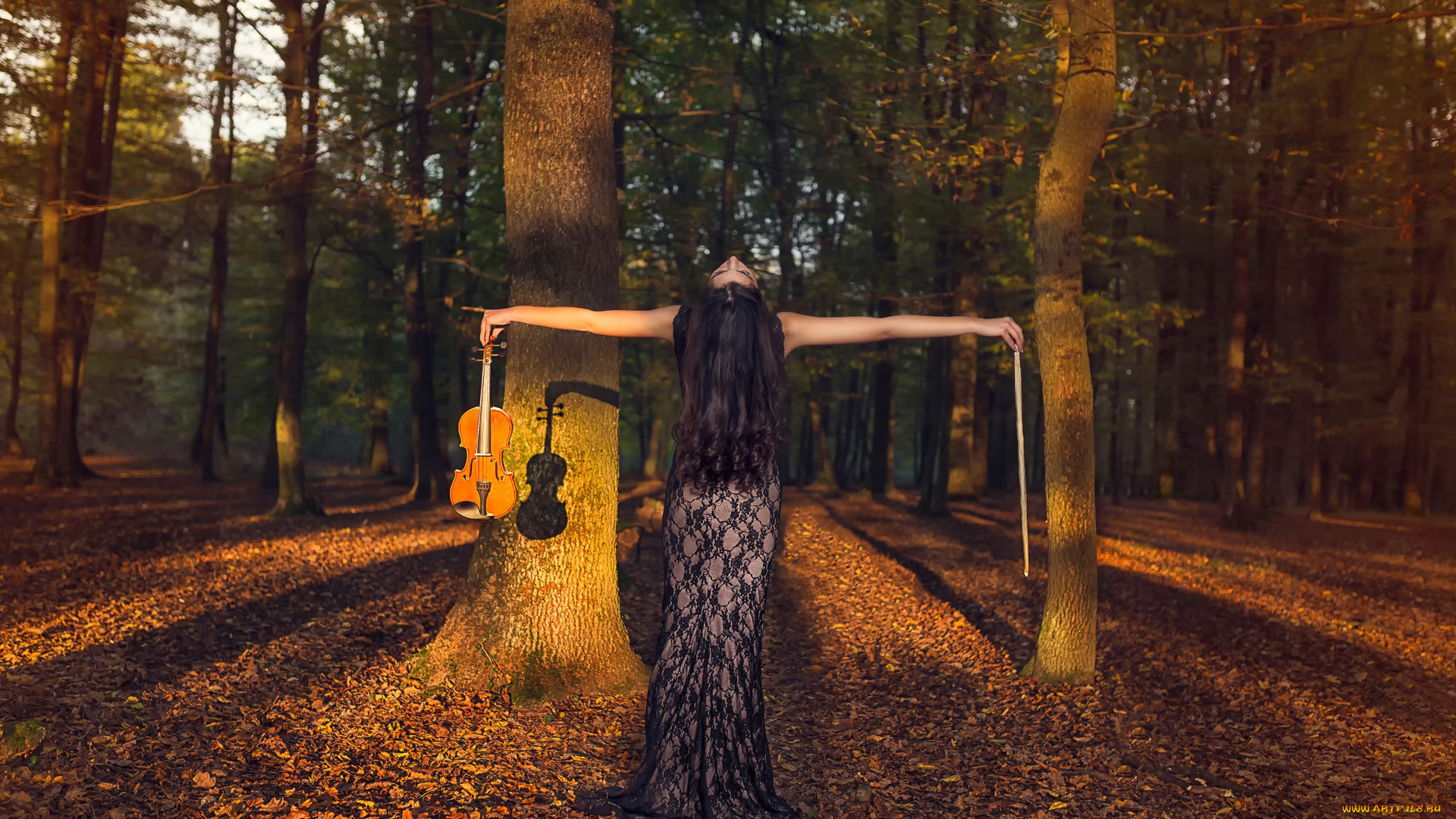 музыка, -, другое, девушка, листва, деревья, скрипка