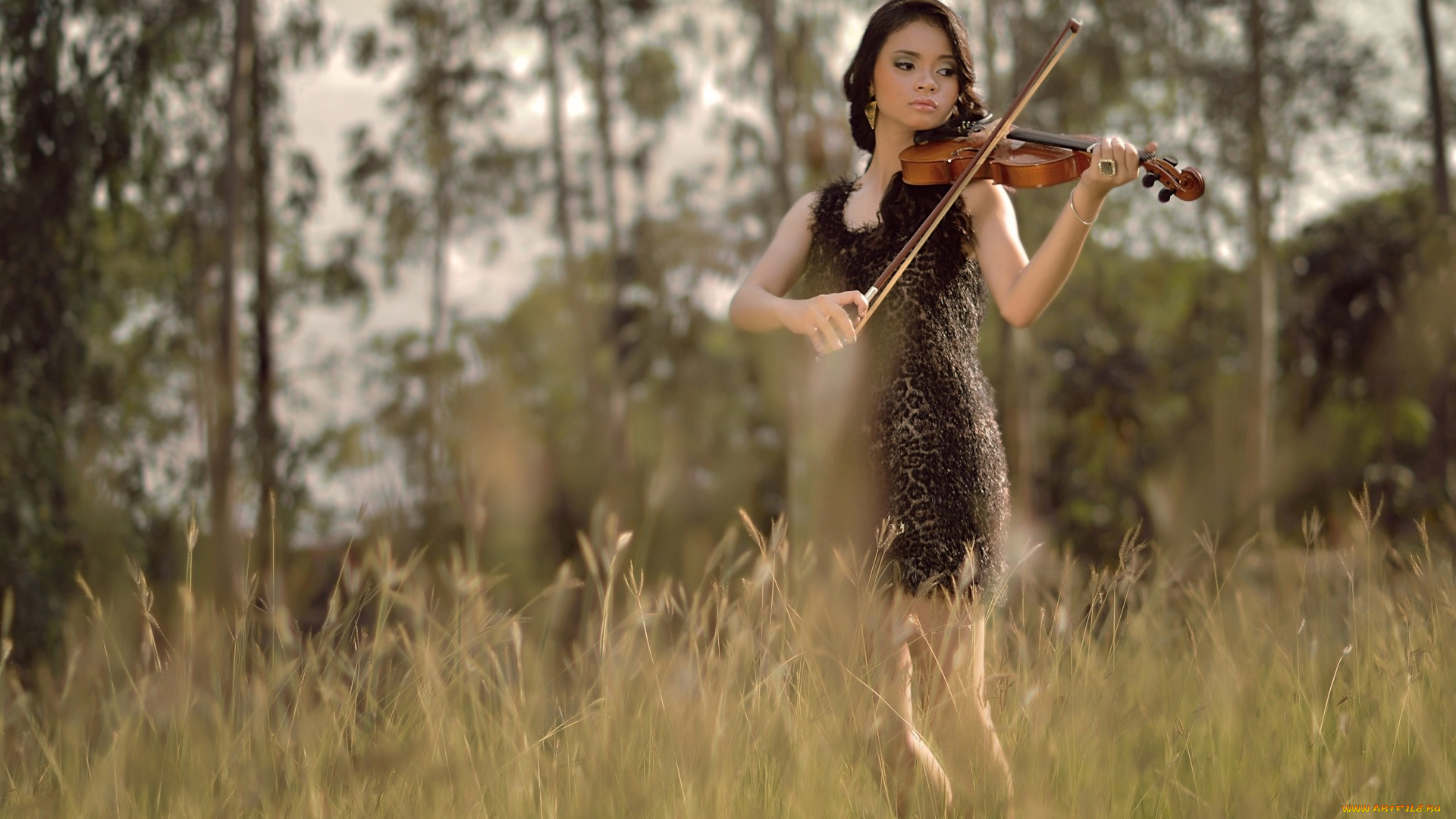 музыка, -, другое, девушка, скрипка, растения