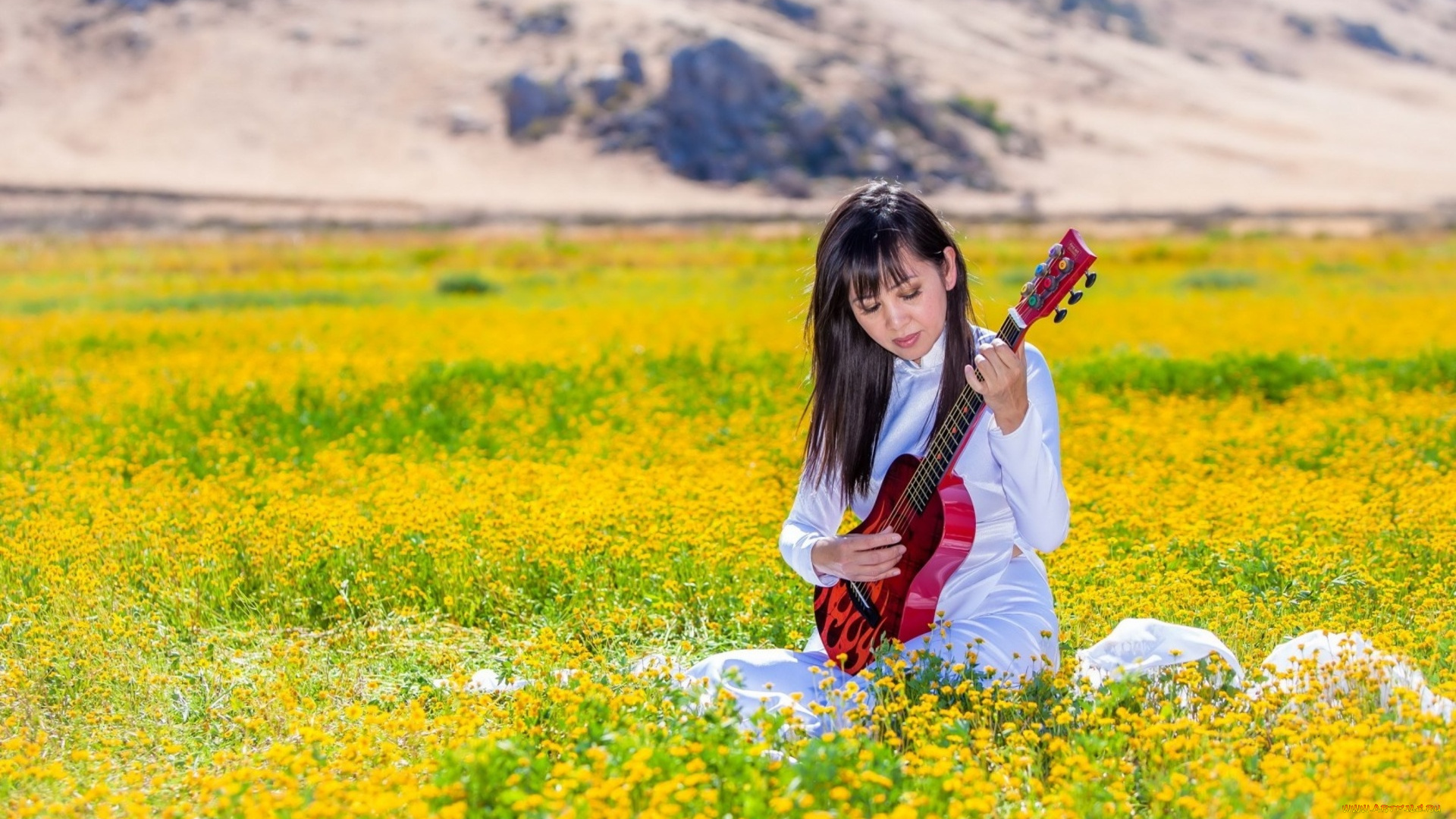 музыка, -, другое, гитара, растения, девушка, цветы, луг