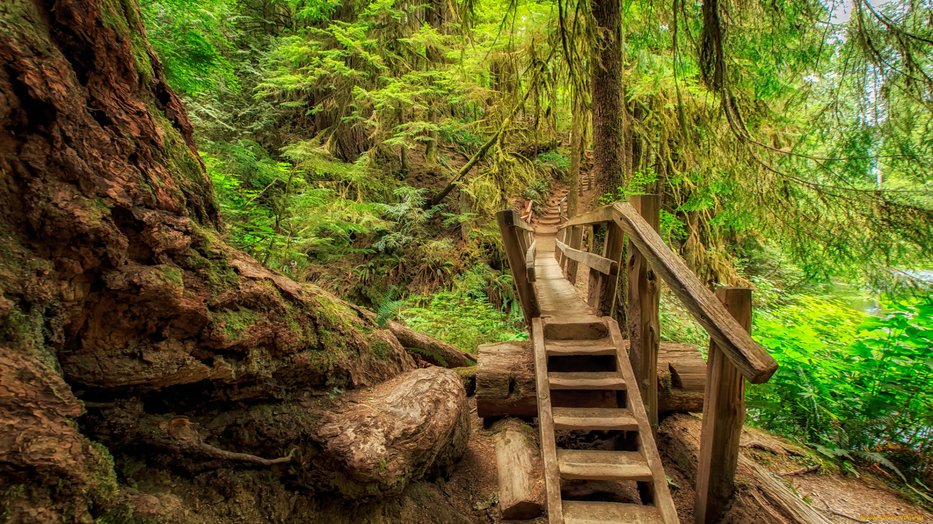 природа, дороги, простор