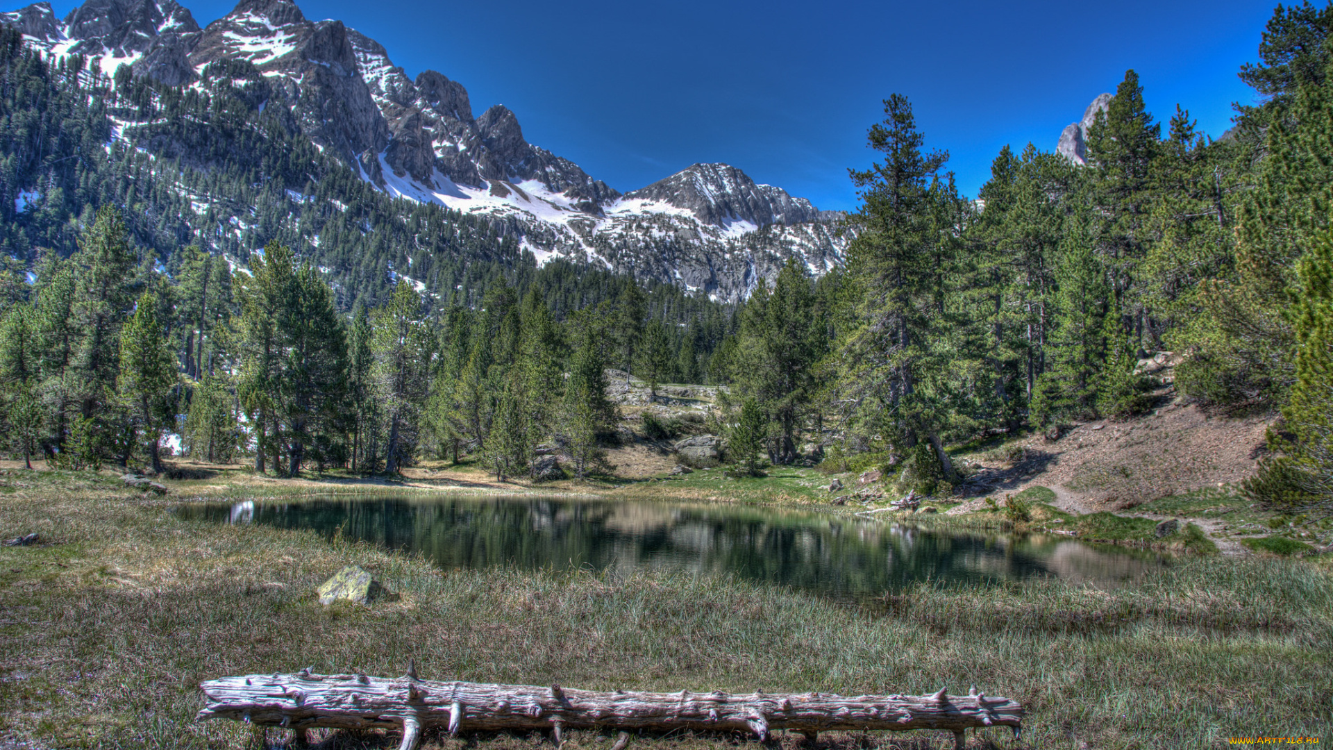 природа, горы, простор