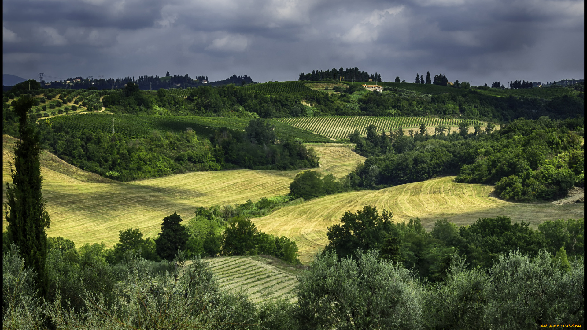 природа, пейзажи, простор