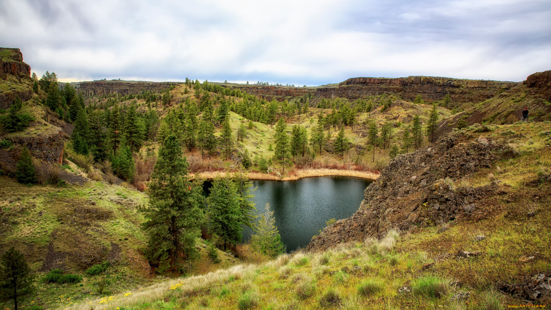 природа, пейзажи, простор